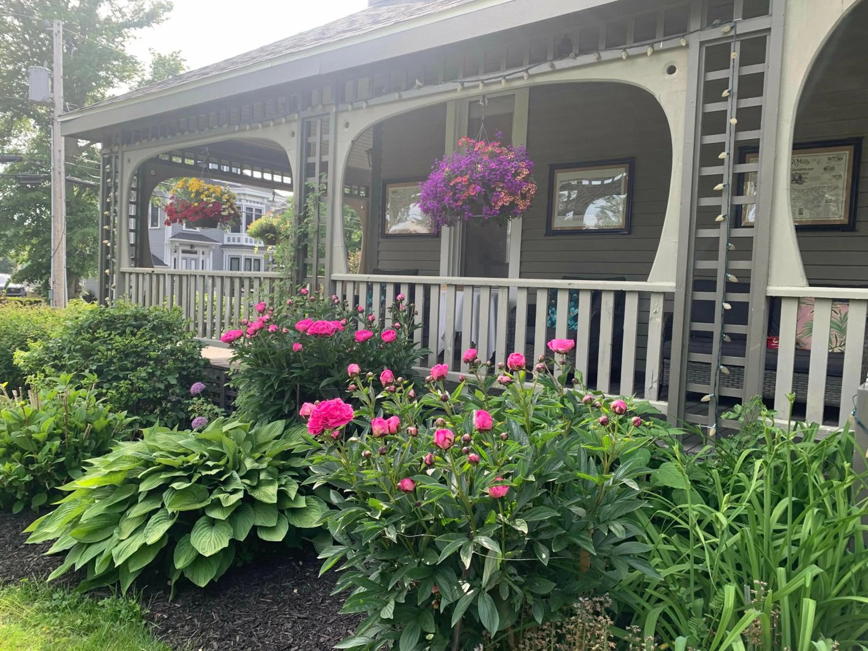 Garden view in No 1 Grafton Inn