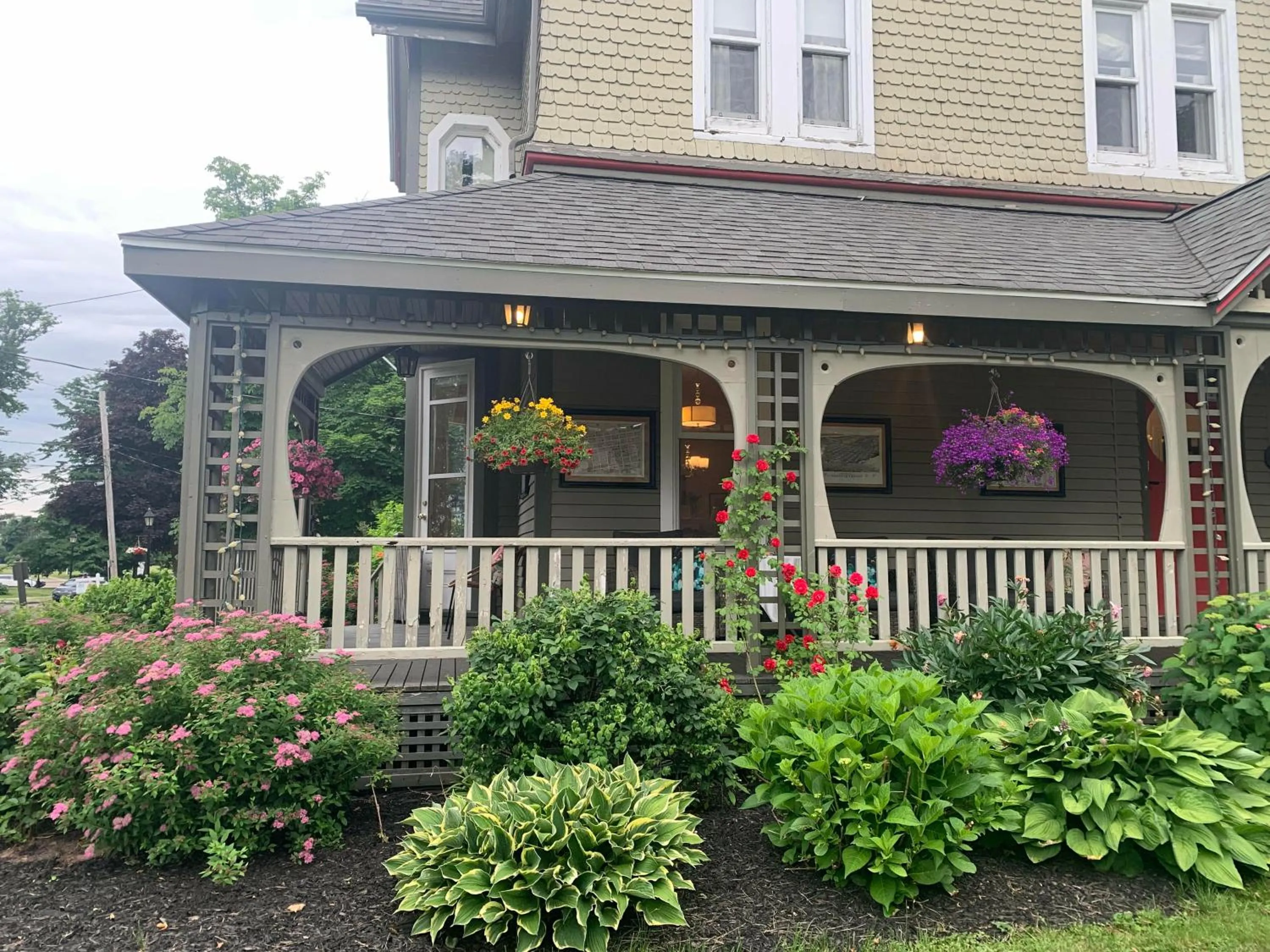 Garden view in No 1 Grafton Inn