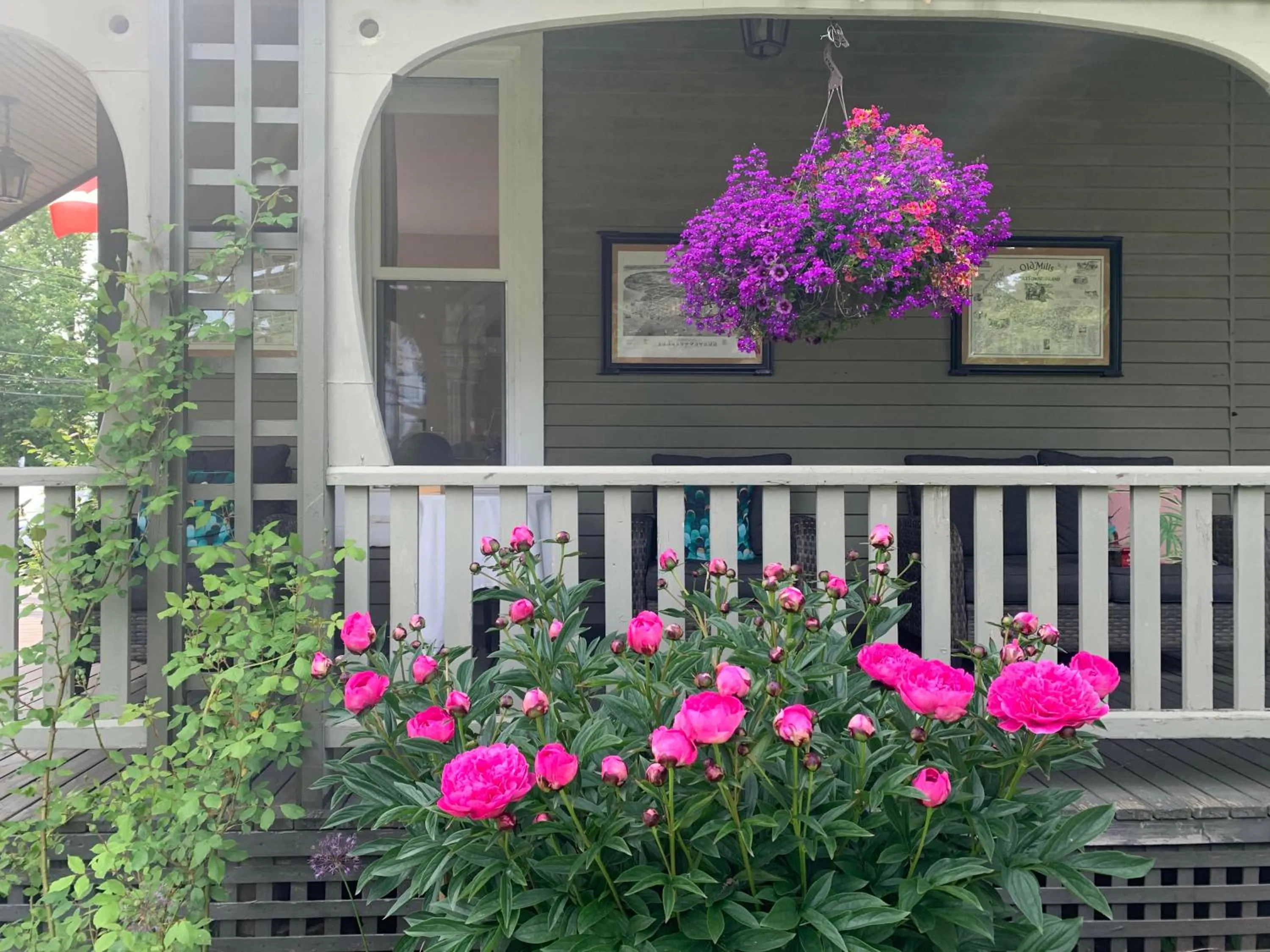 Garden view in No 1 Grafton Inn