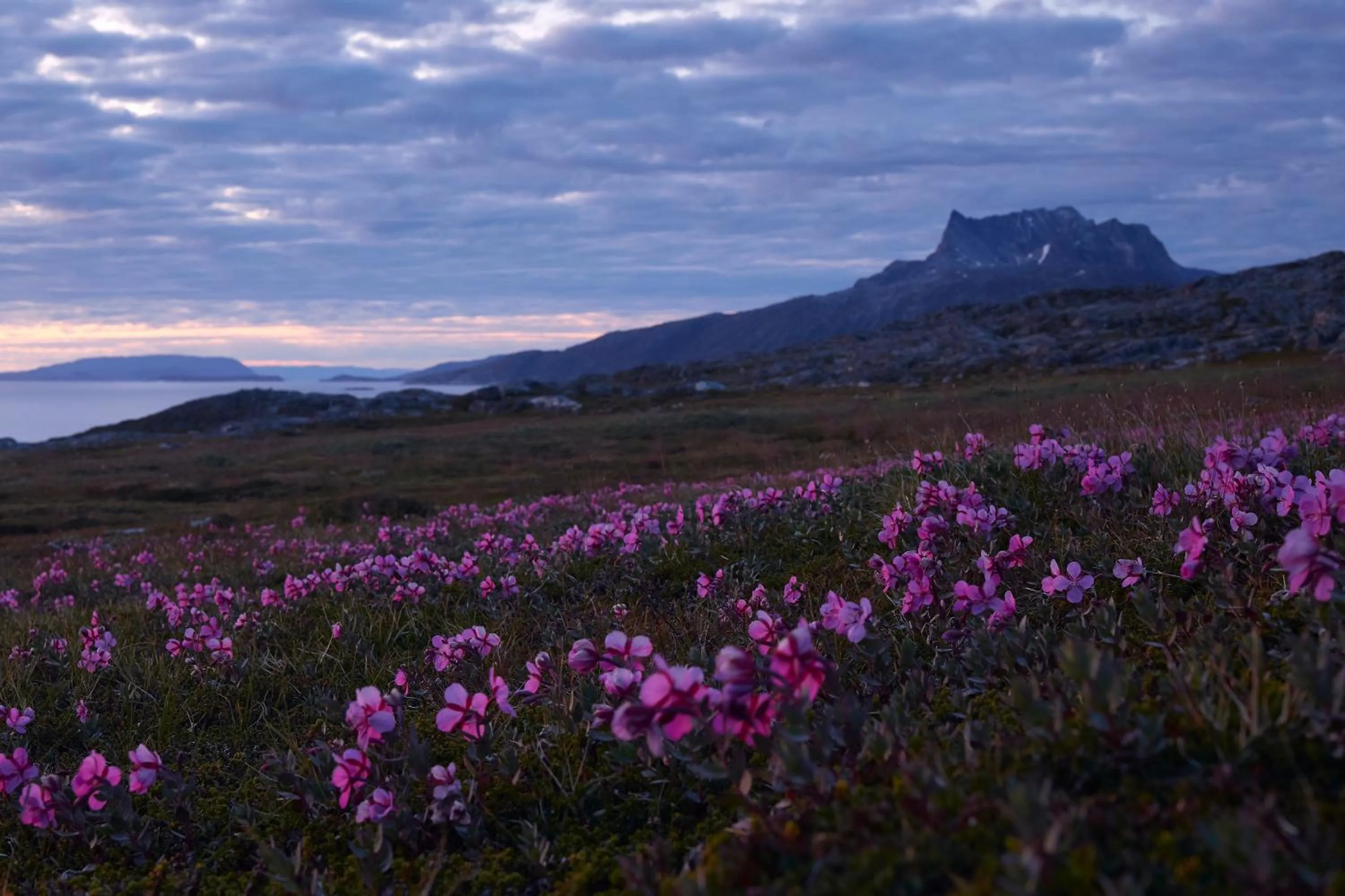 Off site in Hotel Nordbo