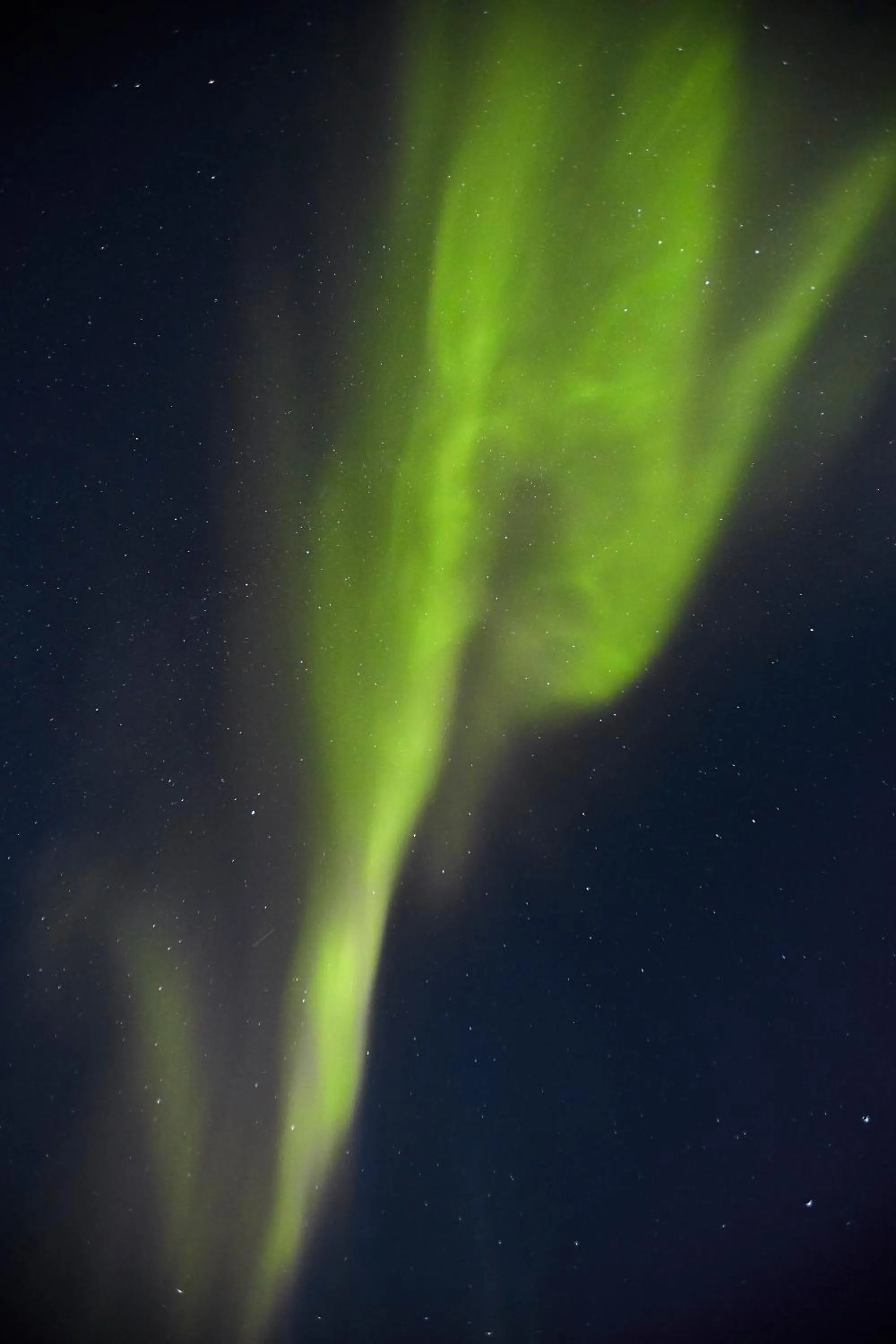Natural landscape in Hotel Nordbo