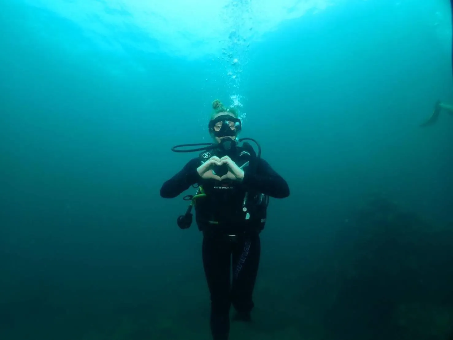 Activities in Dugong Village-Green Hotel