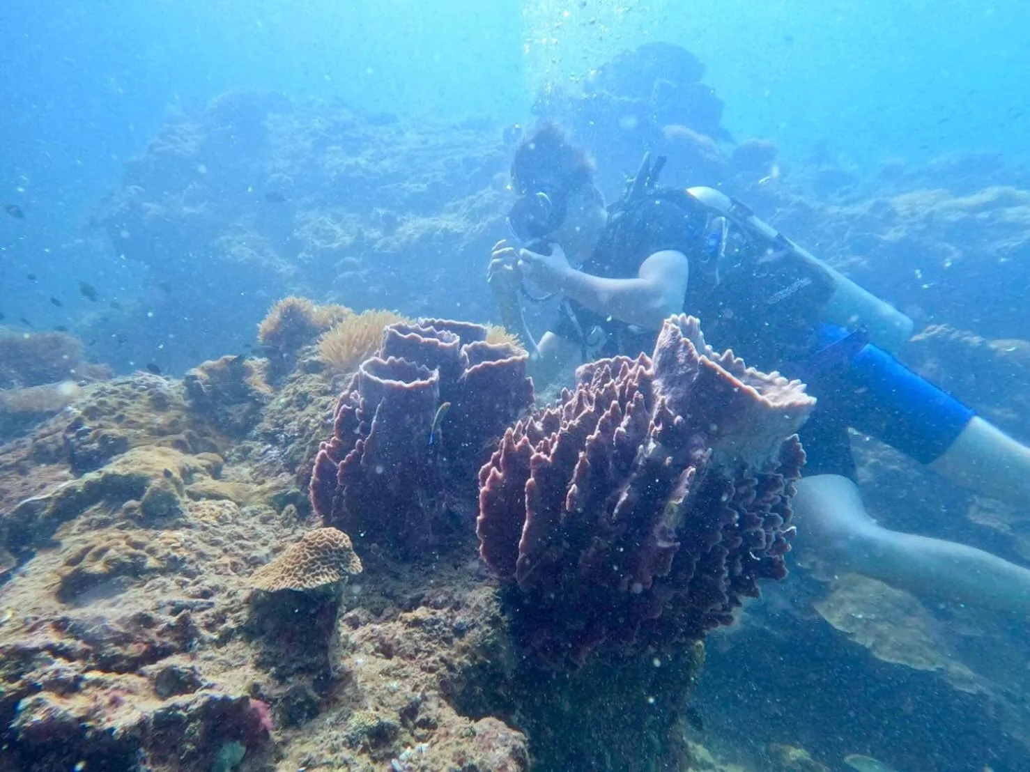 Activities in Dugong Village-Green Hotel