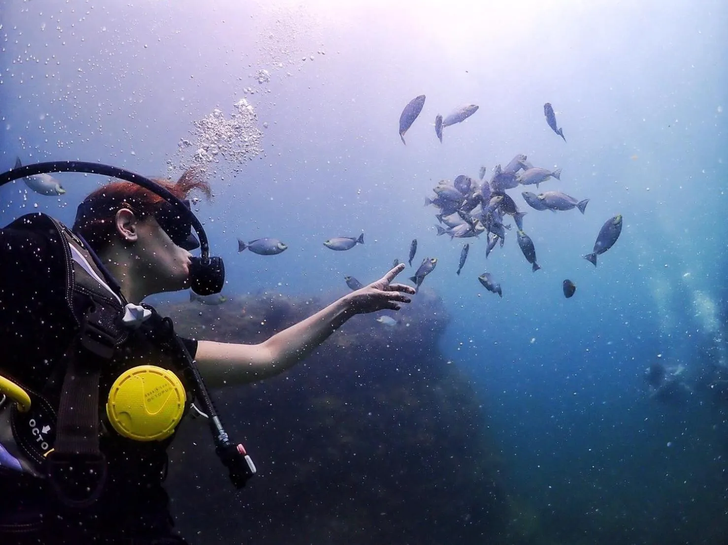 Activities in Dugong Village-Green Hotel