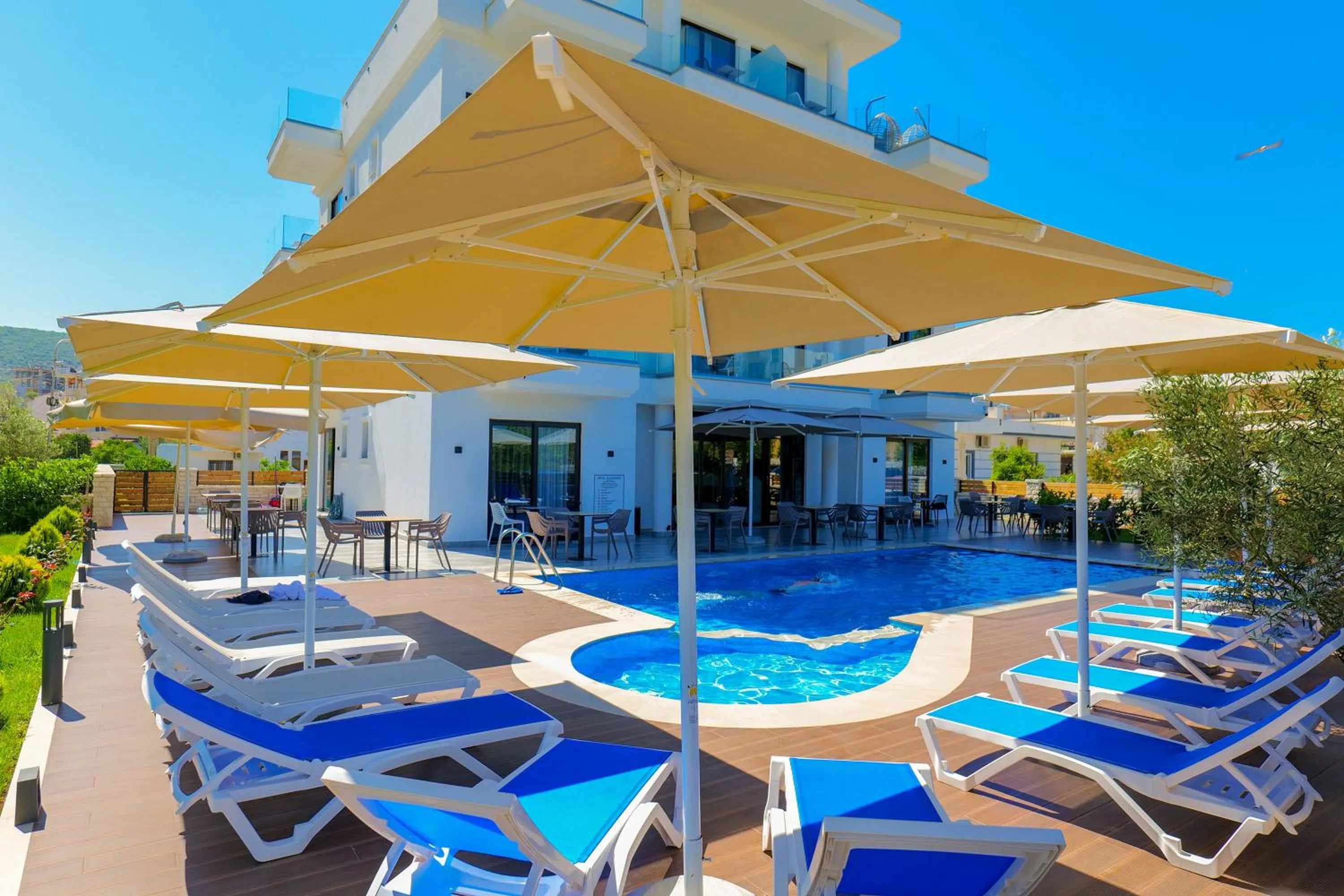 Swimming pool in Hotel Alexander