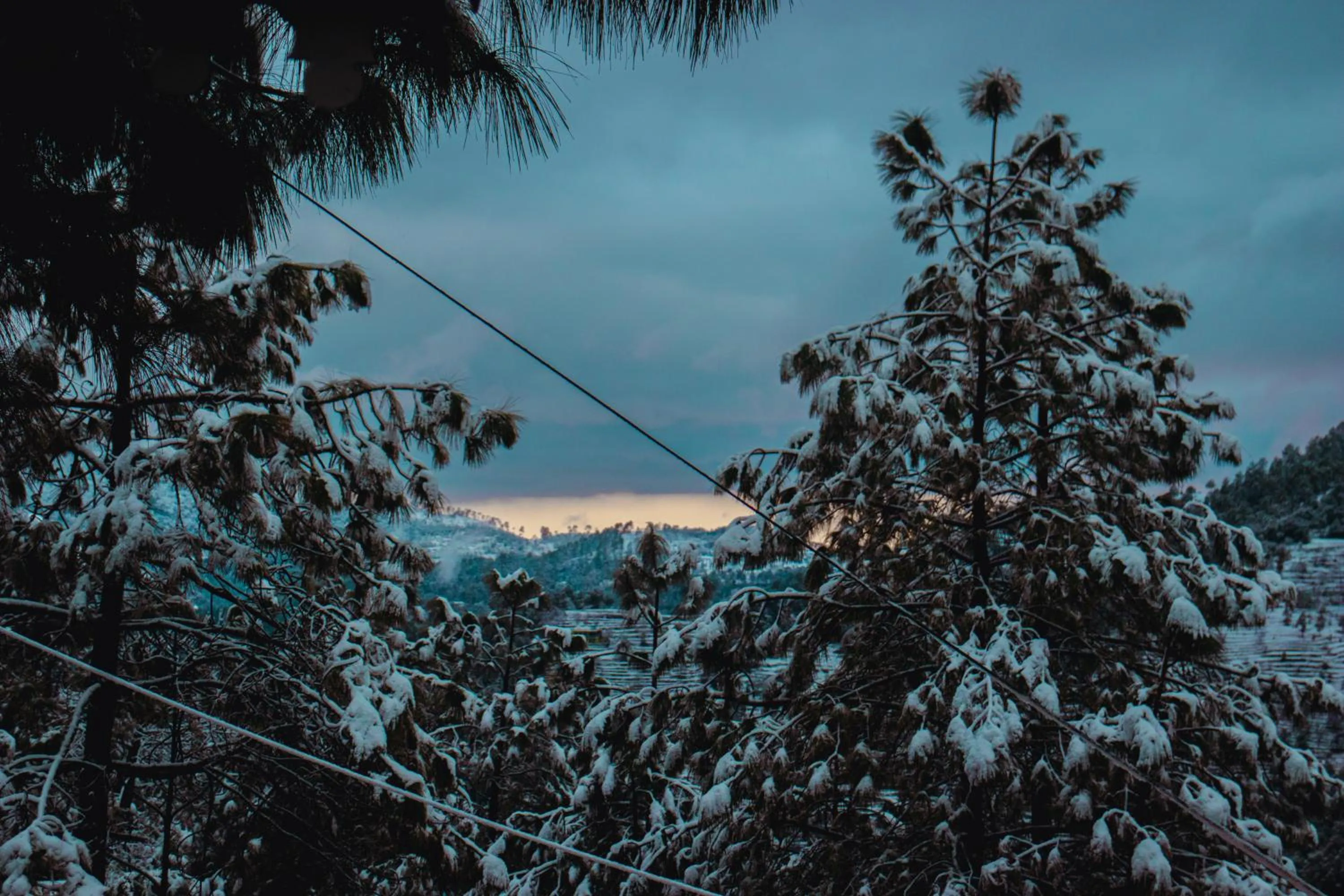 Natural landscape in THEHIMALAYANLIVING WHISTLING PINES