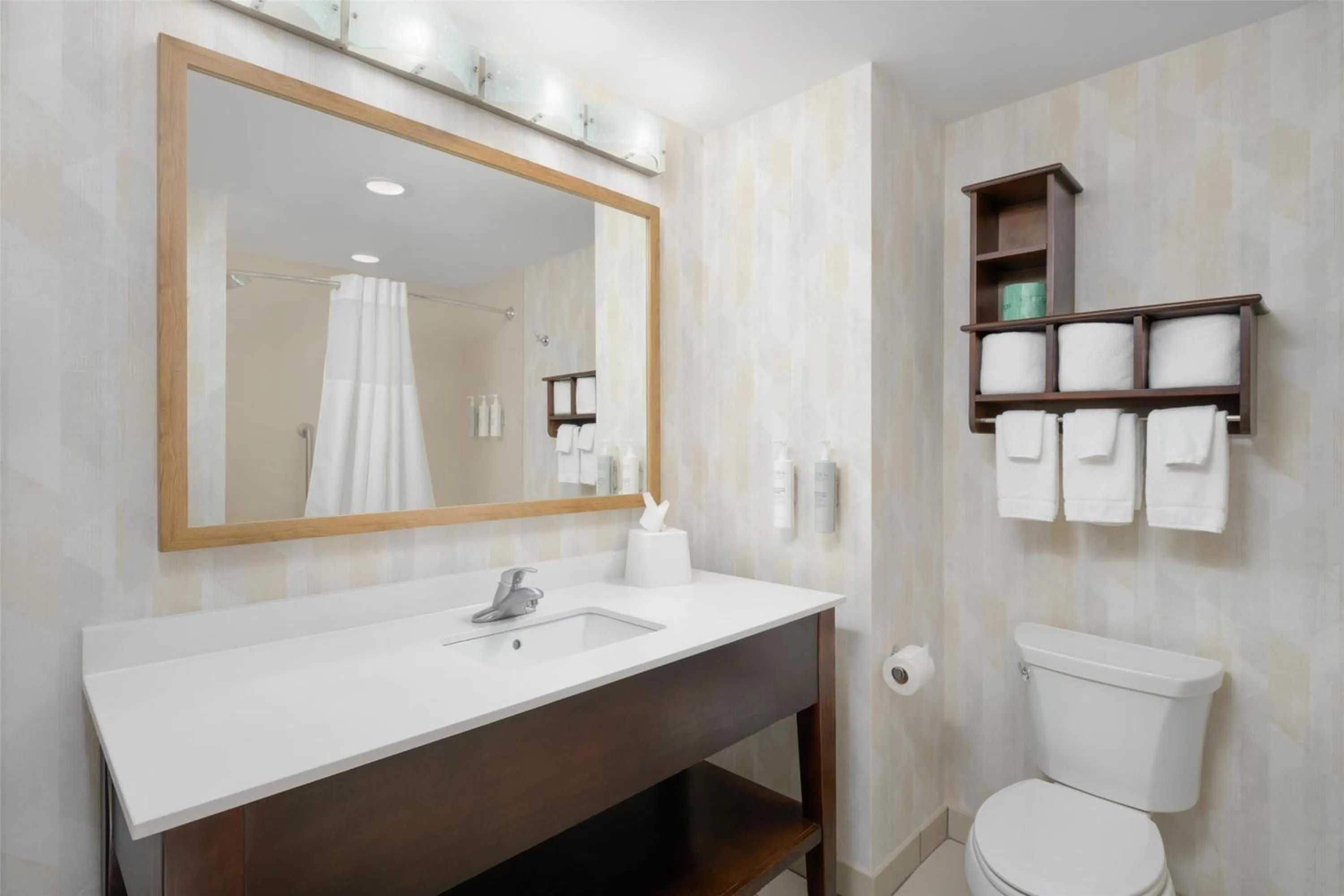 Bathroom in Hampton Inn & Suites Chattanooga/Hamilton Place