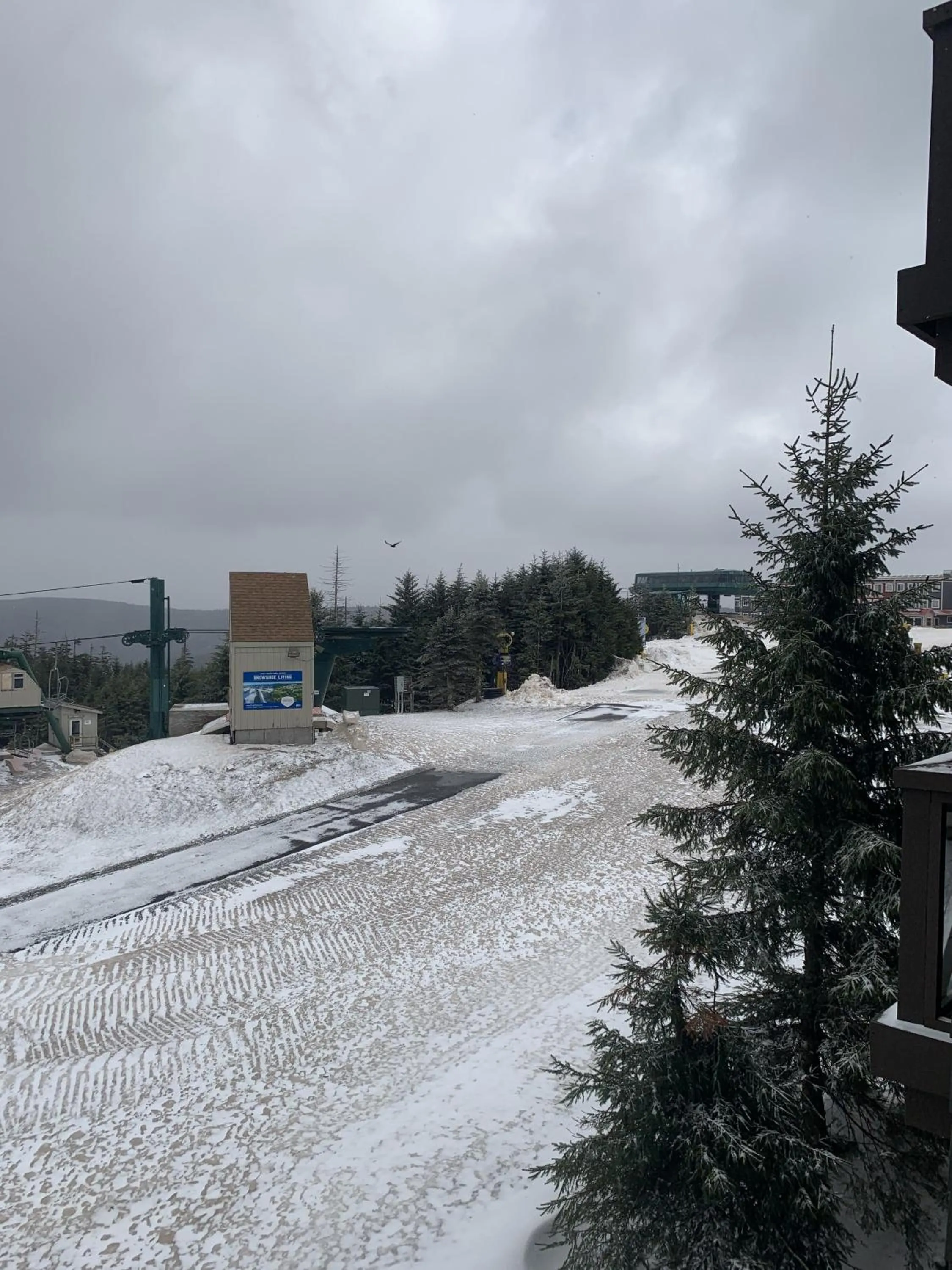 Highland House 207 Slopeside, Village Area, Ski in out