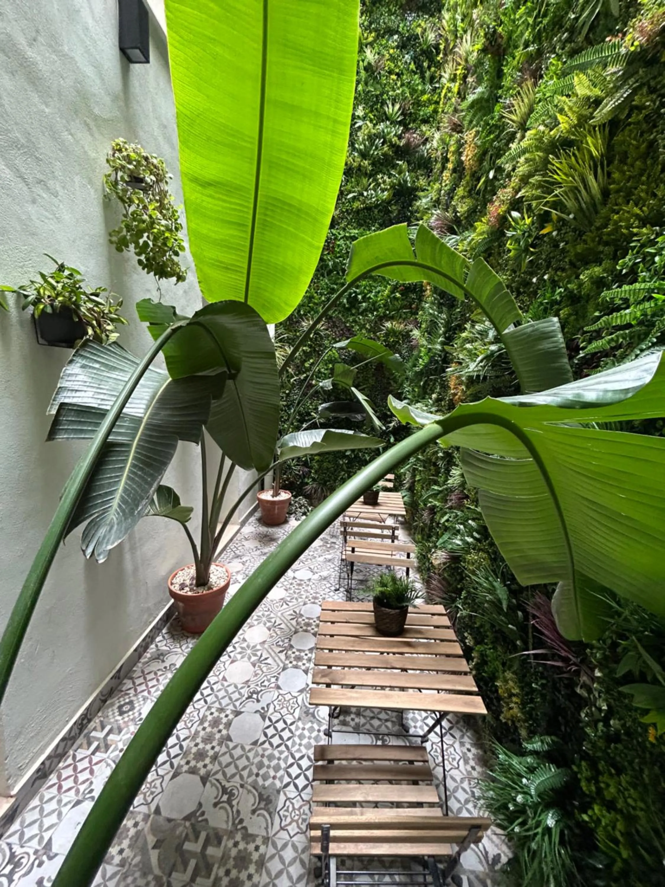 Garden in Hotel BH San Francisco Alicante