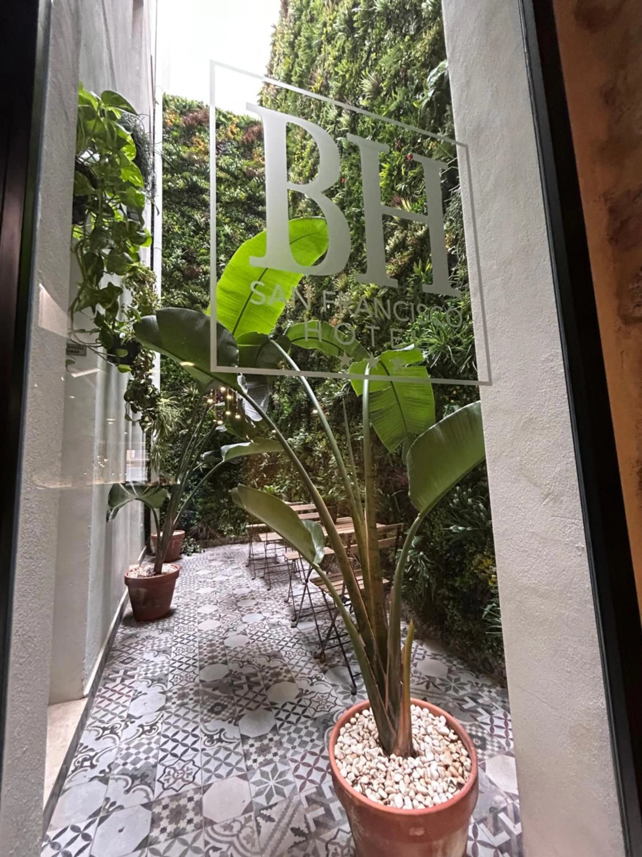 Garden in Hotel BH San Francisco Alicante