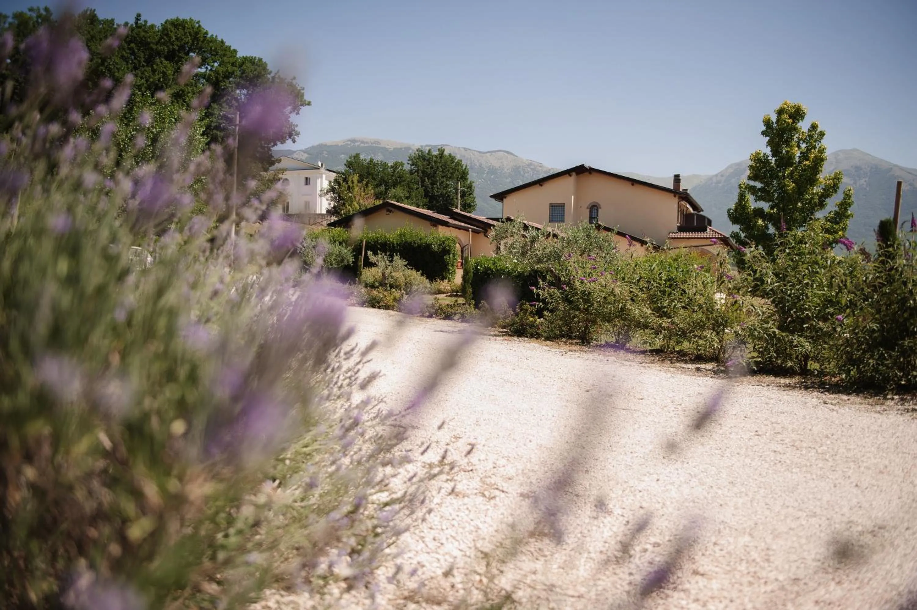 Property building in RELAIS COLLE BUONO