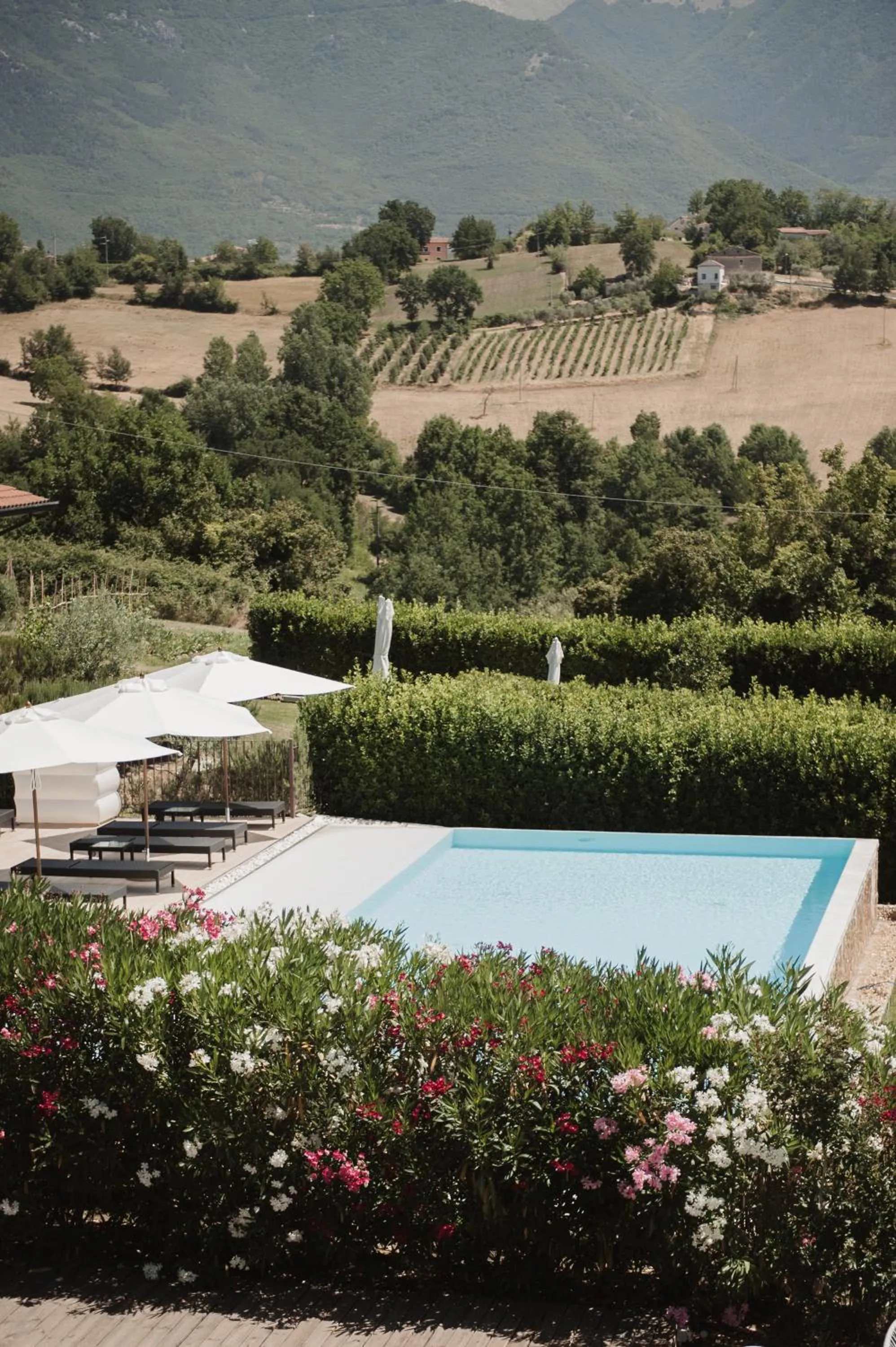 Spring in RELAIS COLLE BUONO