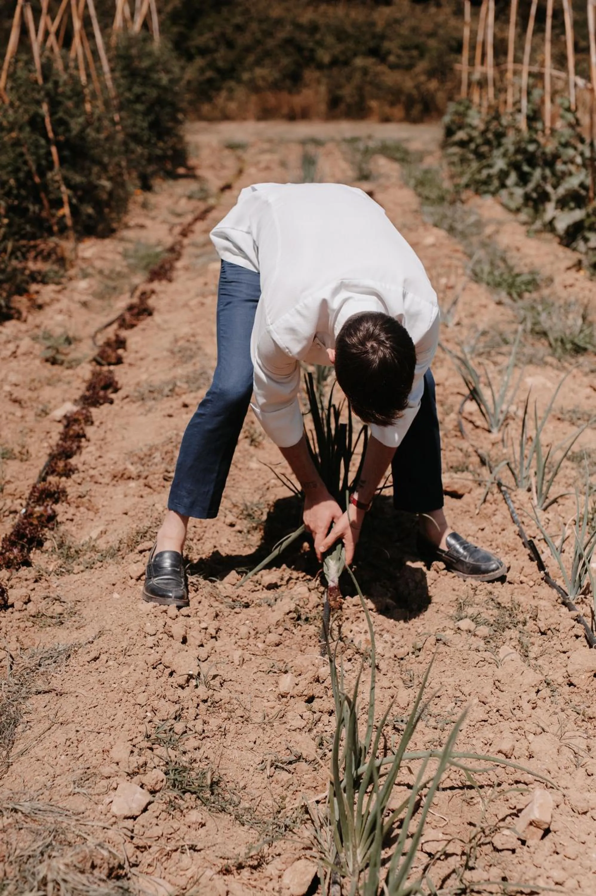 Day in RELAIS COLLE BUONO