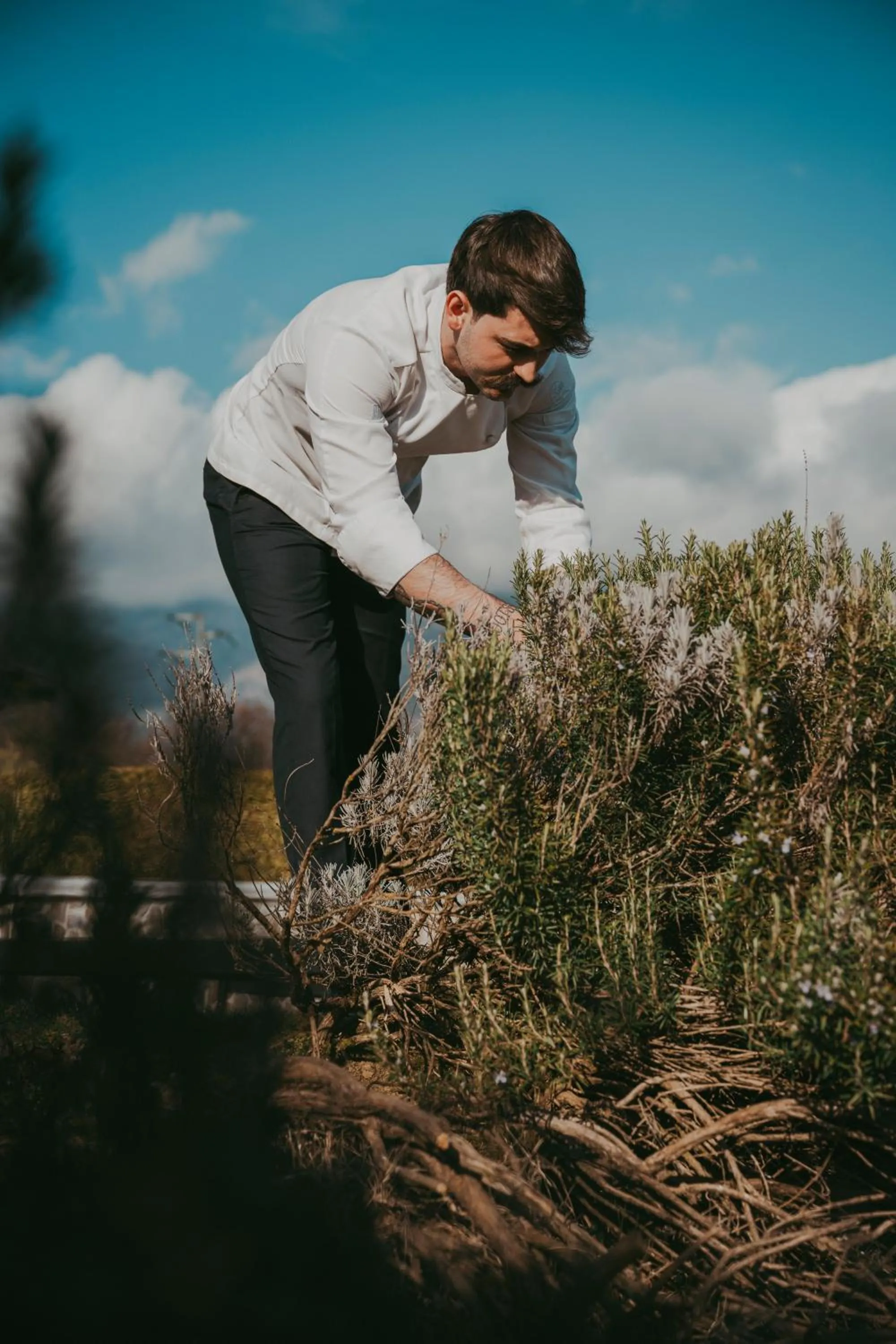 Spring in RELAIS COLLE BUONO