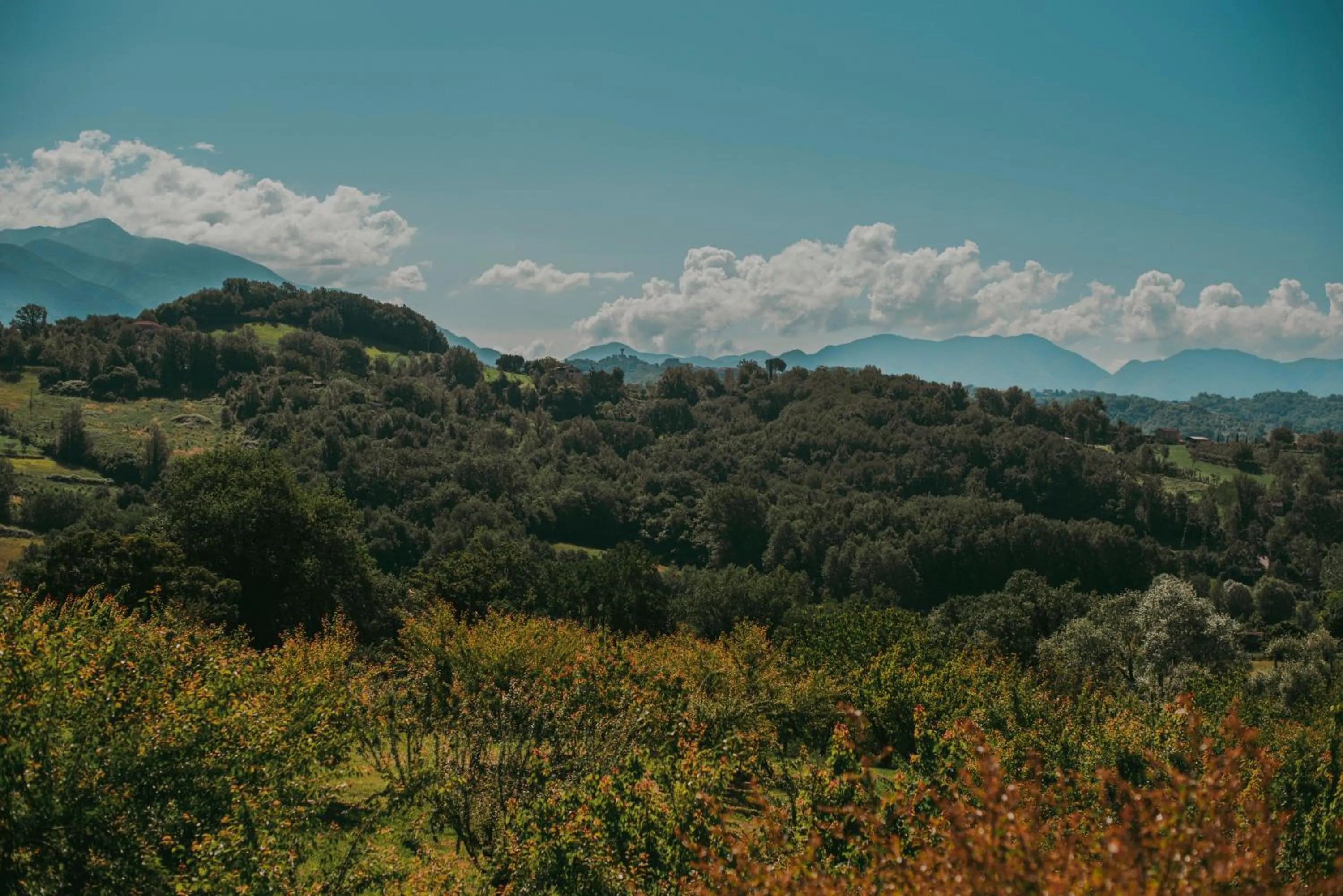 Nearby landmark in RELAIS COLLE BUONO