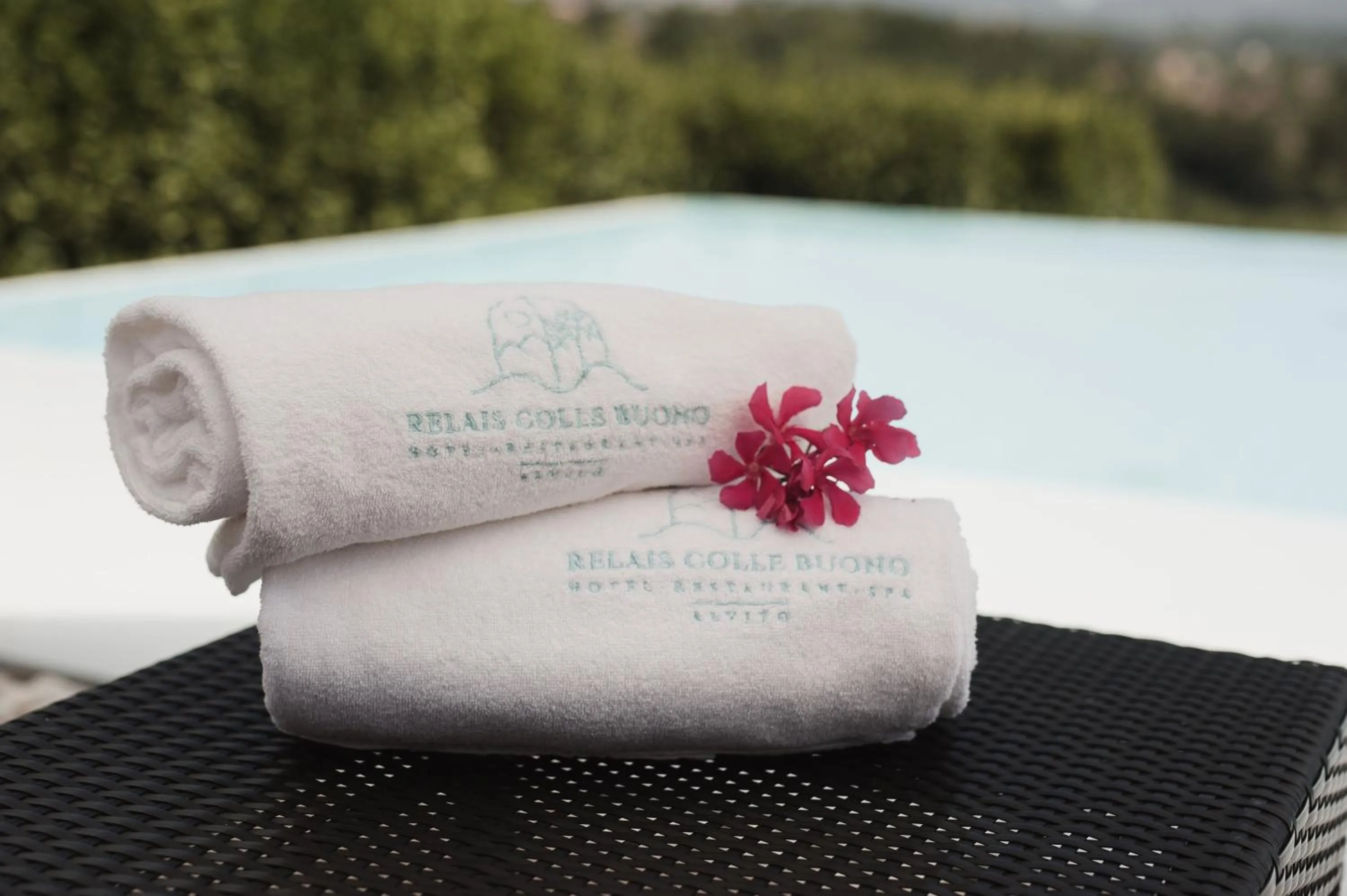 Day in RELAIS COLLE BUONO