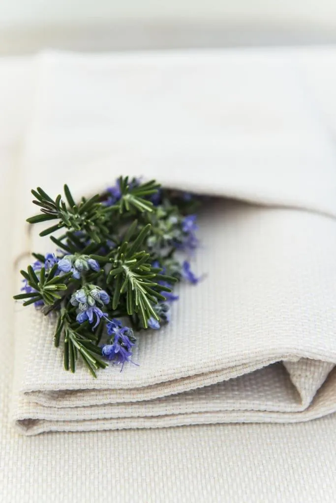 Decorative detail in RELAIS COLLE BUONO