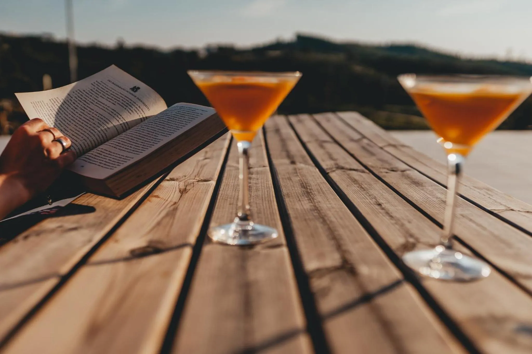 Lounge or bar in Gavião Nature Village