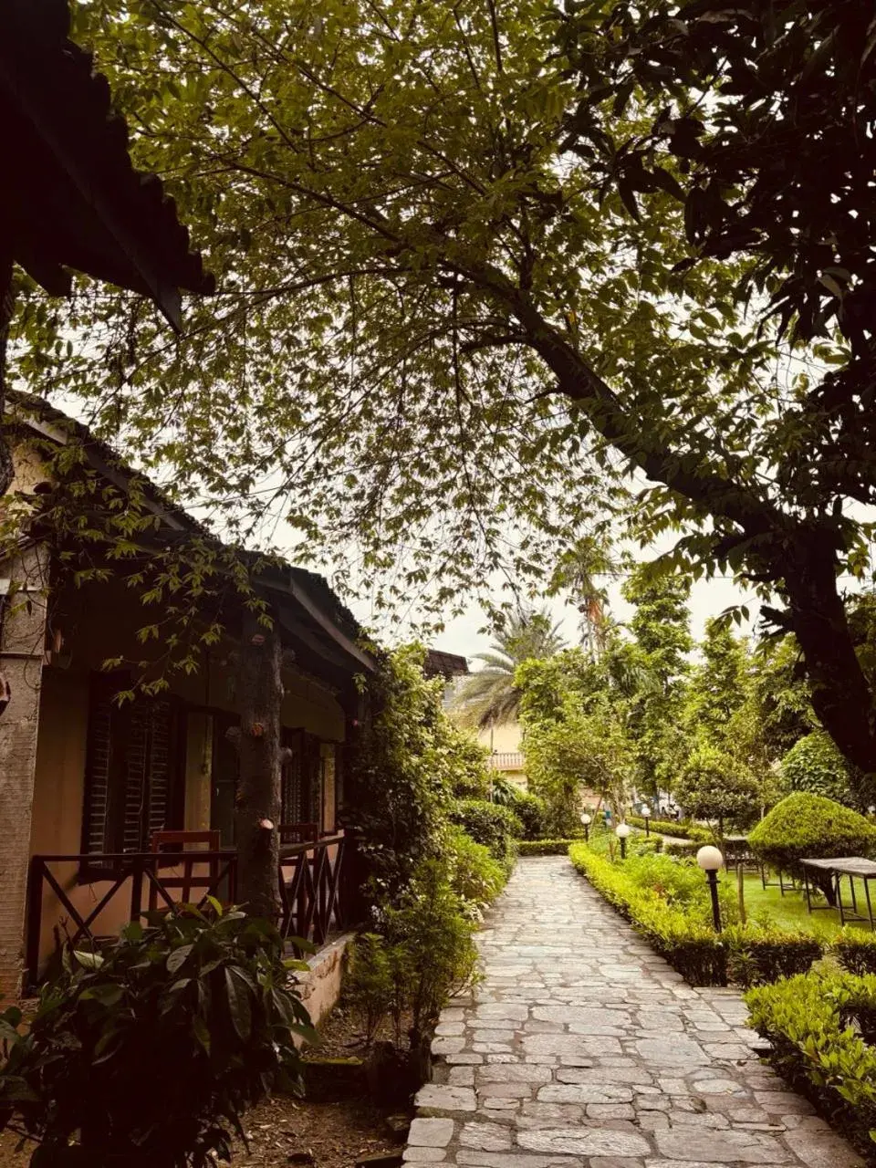 Deluxe Double Room (2 Adults + 1 Child) in Travellers Jungle Camp-Sauraha Deluxe Double Room (2 Adults + 1 Child) in Travellers Jungle Camp-Sauraha