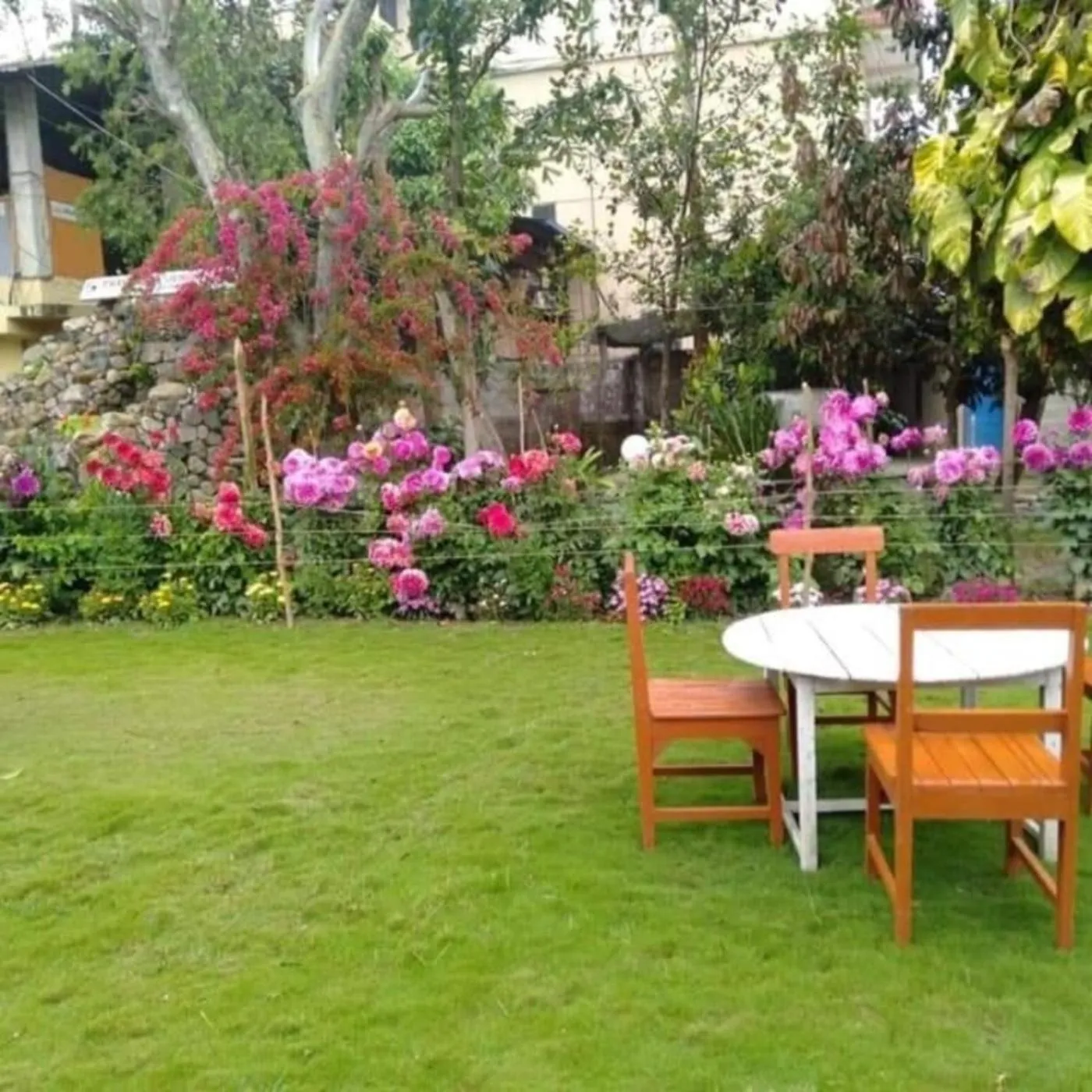 Restaurant/places to eat in Travellers Jungle Camp-Sauraha