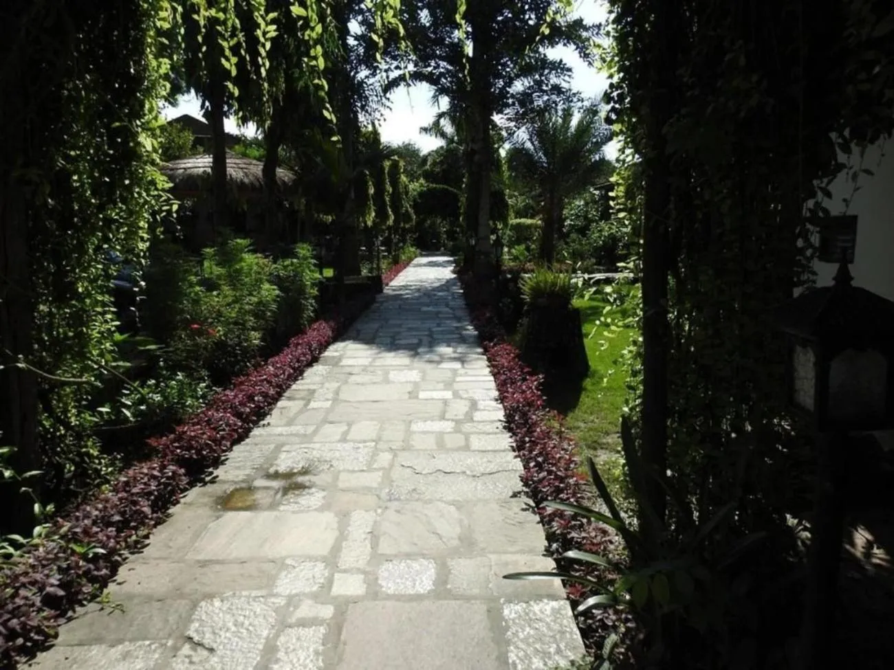 Facade/entrance in Travellers Jungle Camp-Sauraha