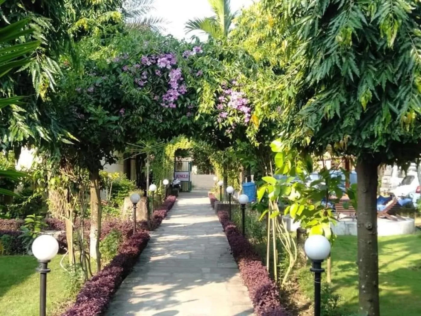 Garden in Travellers Jungle Camp-Sauraha