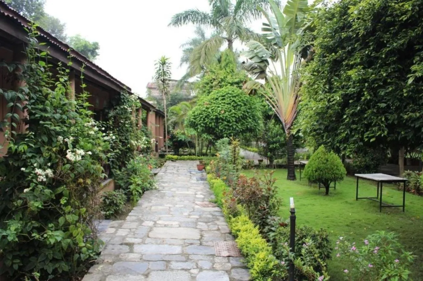 Property building in Travellers Jungle Camp-Sauraha