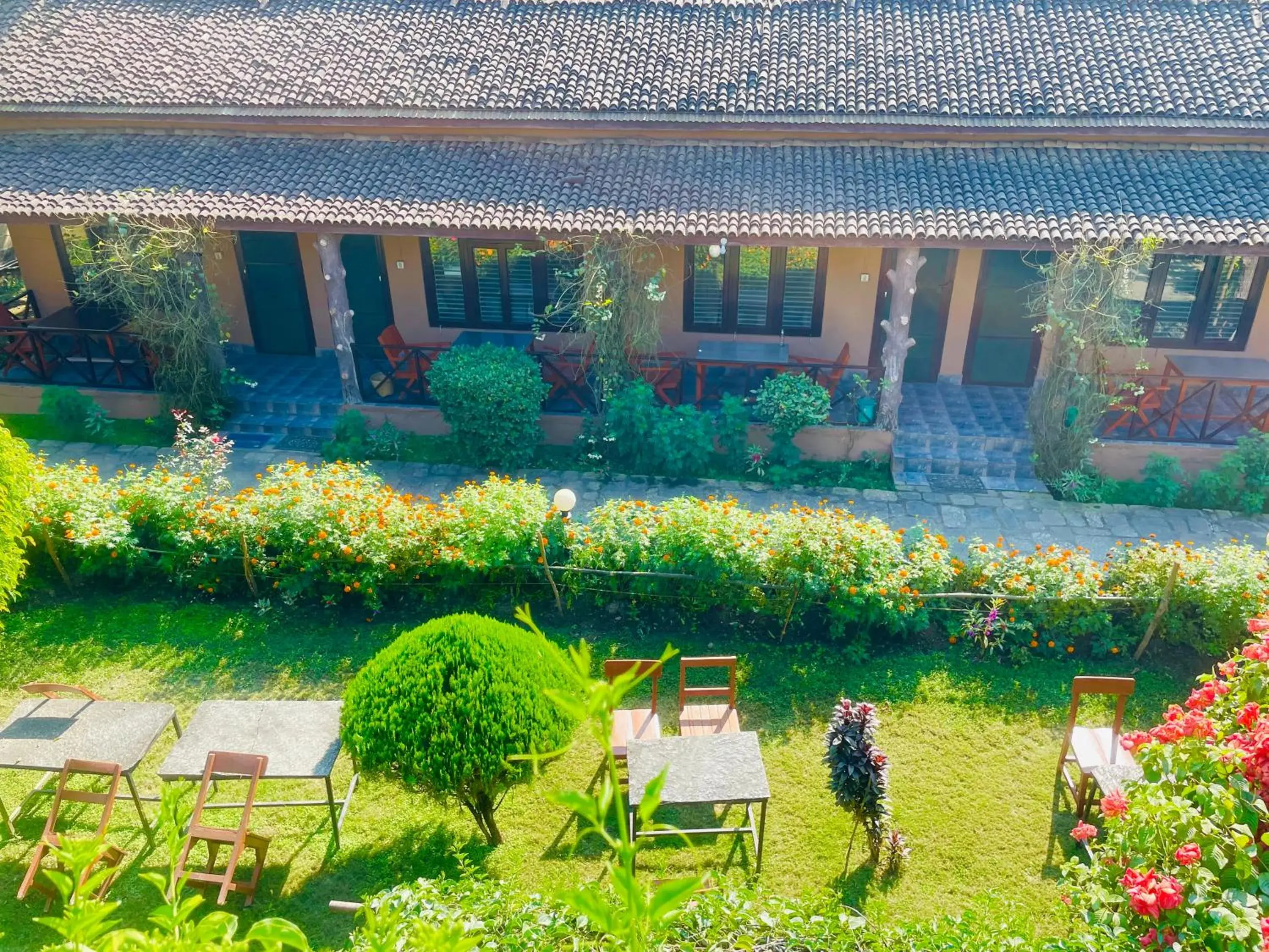 Standard Double Room with Fan in Travellers Jungle Camp-Sauraha Standard Double Room with Fan in Travellers Jungle Camp-Sauraha