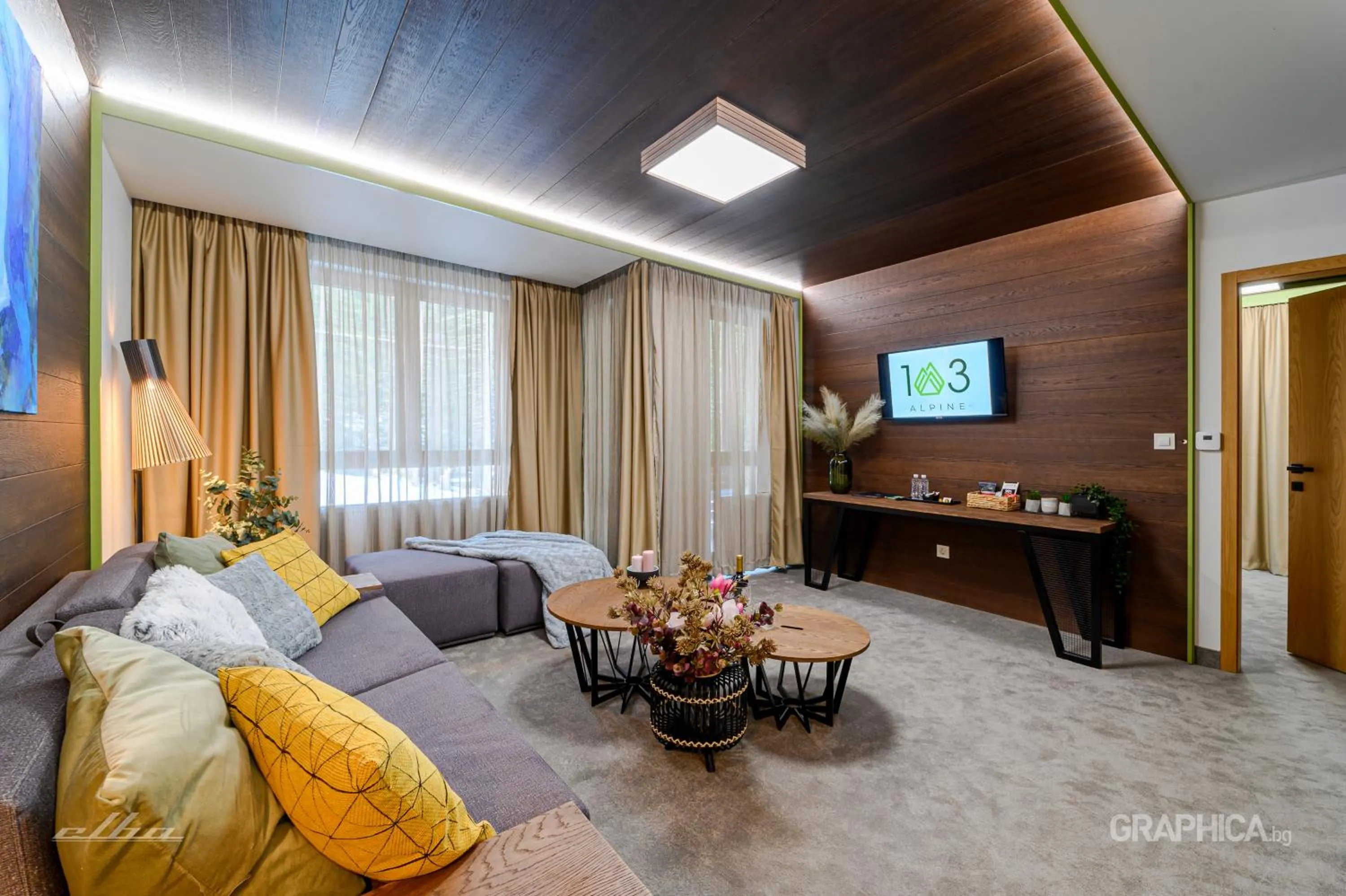 TV and multimedia in 103 Alpine Hotel