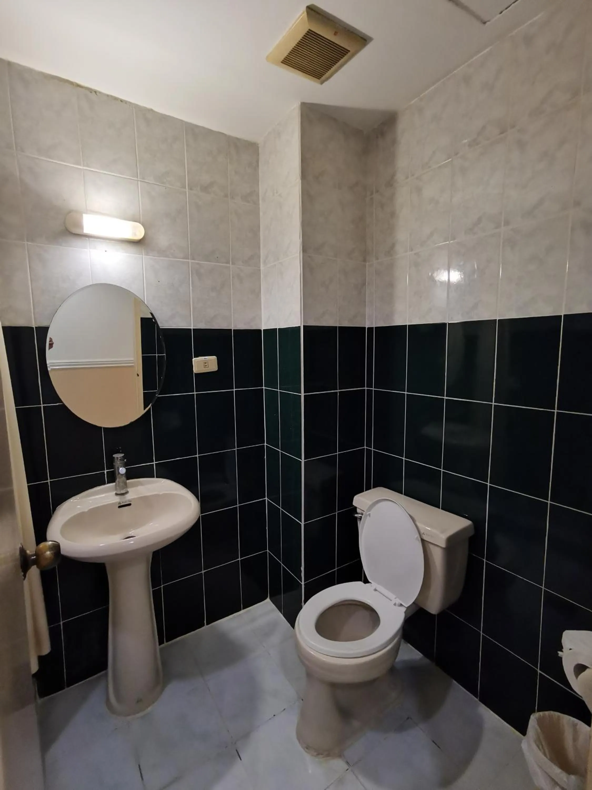 Toilet in Metro Park Hotel - Cebu City