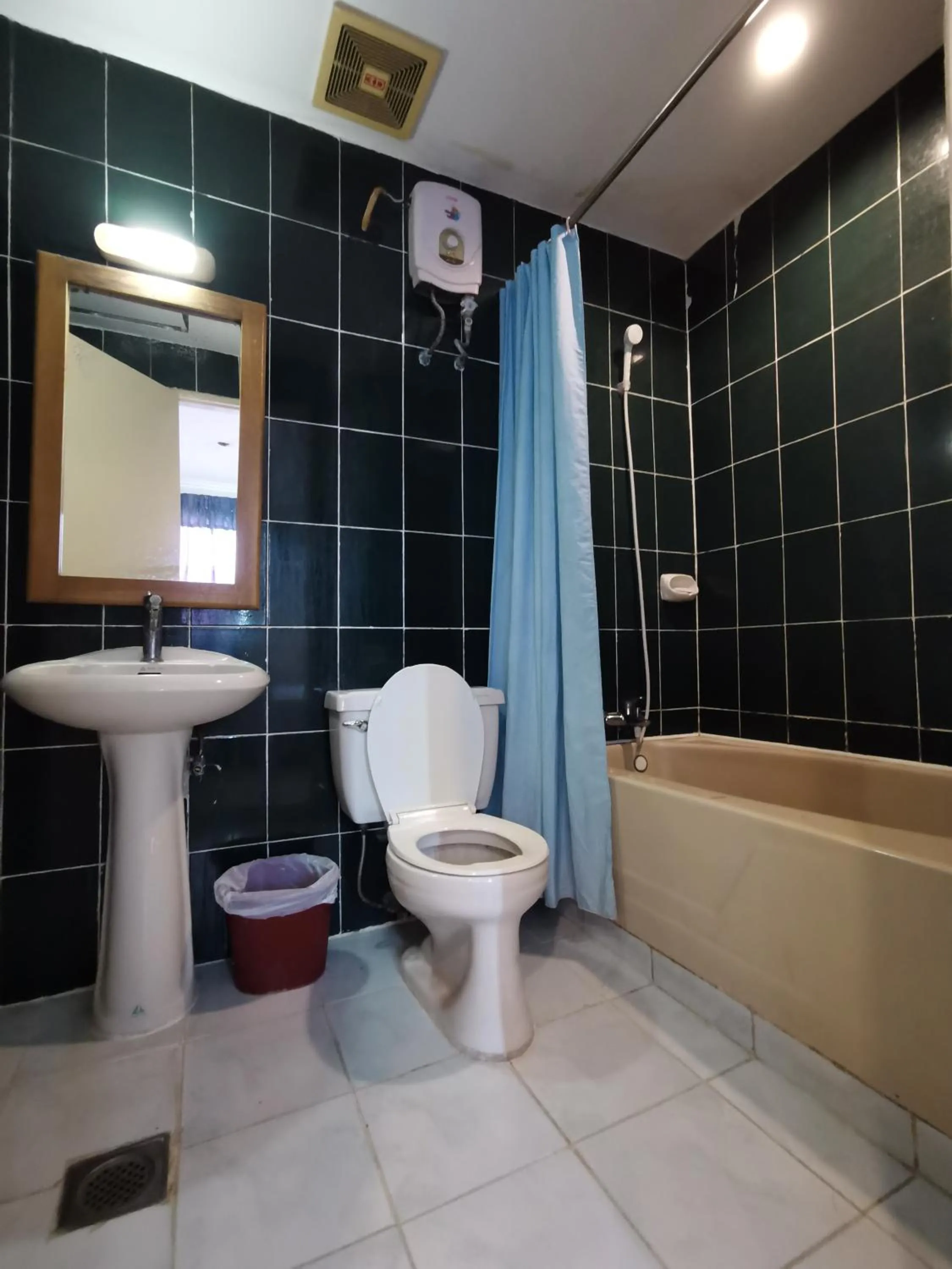 Toilet in Metro Park Hotel - Cebu City