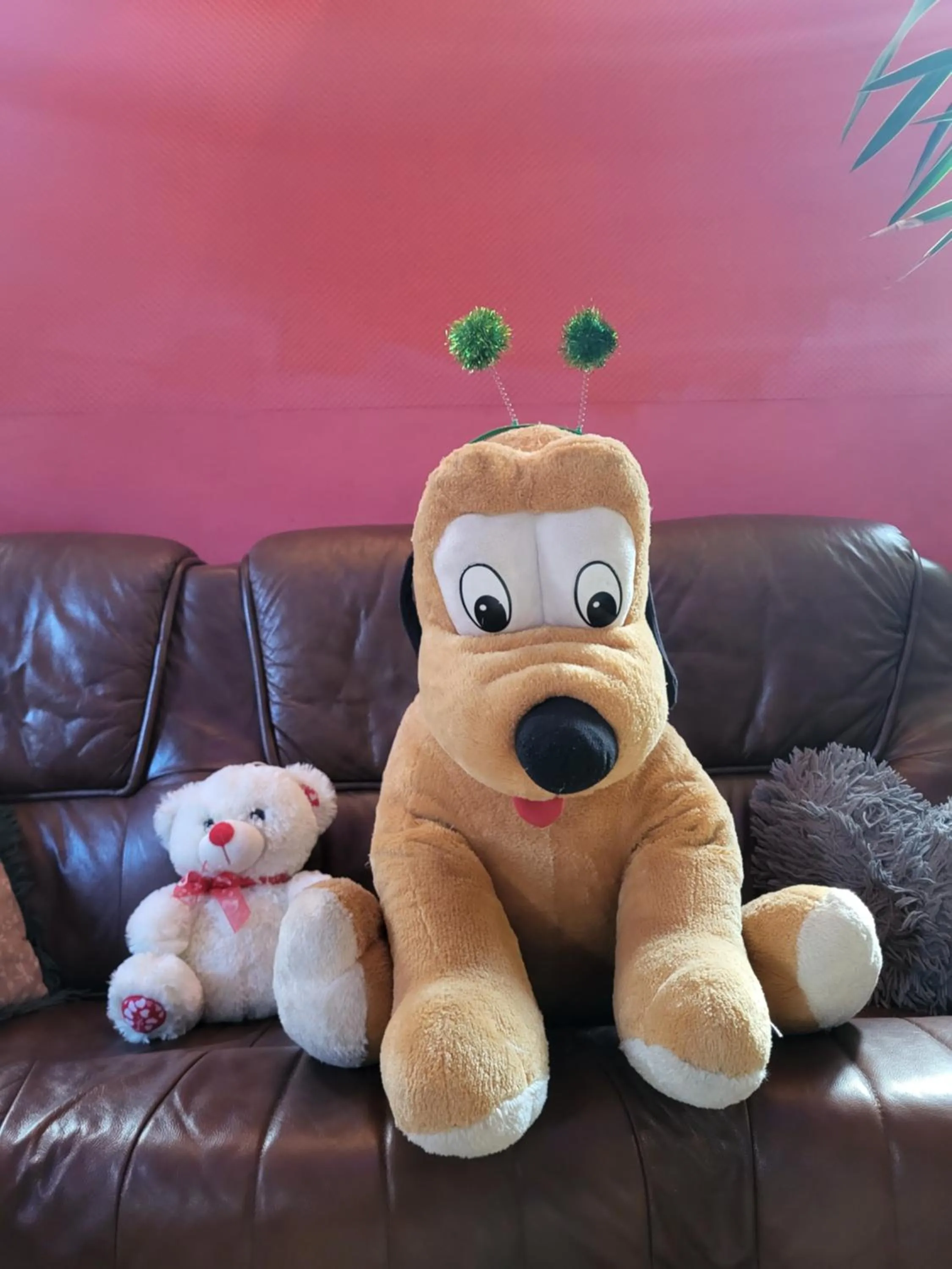 Apartamenty i pokoje gościnne Nowita