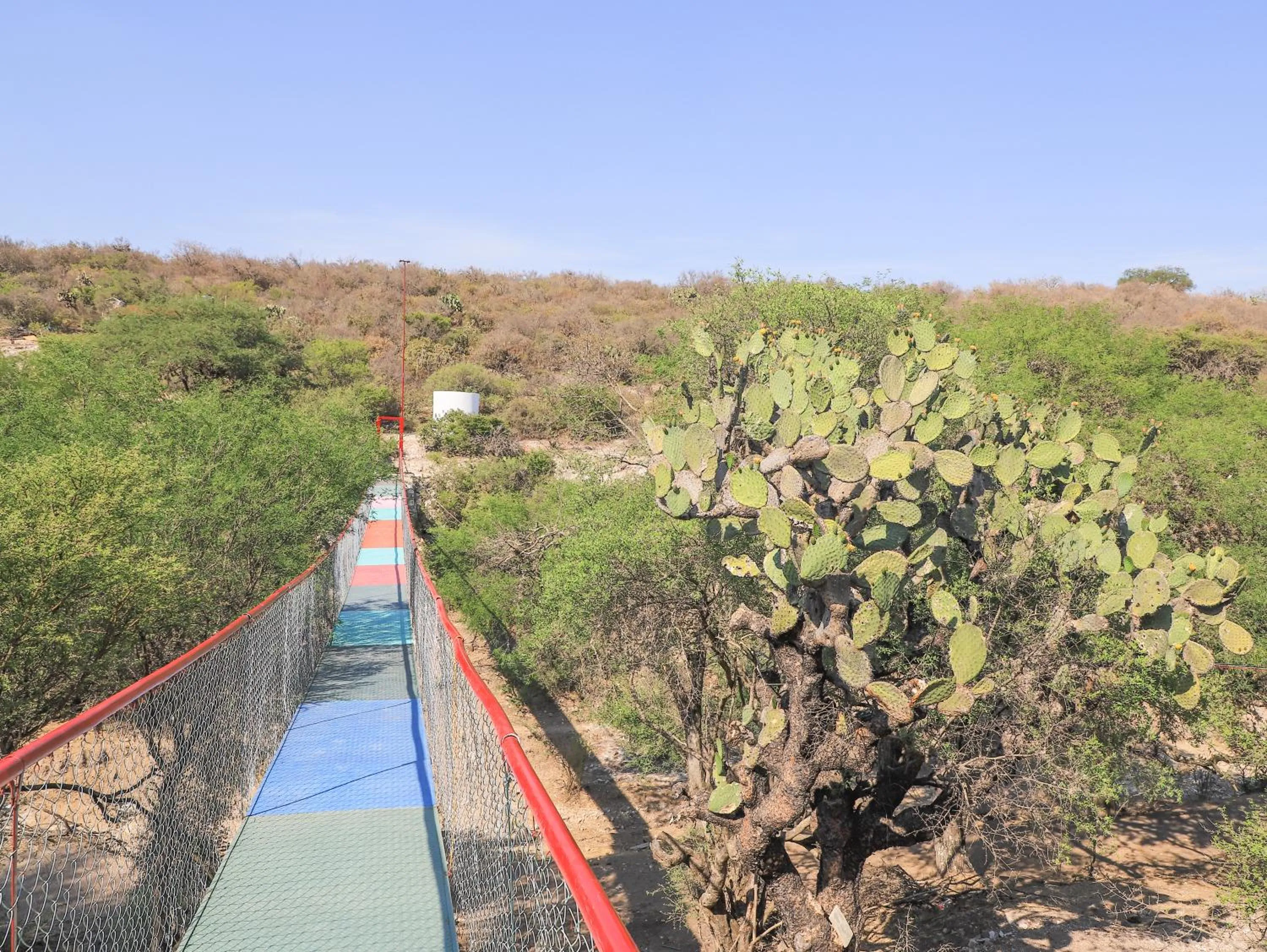 Activities in Centro Ecoturístico Tatu by Rotamundos
