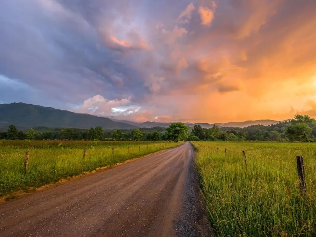 Property building in Birdsong