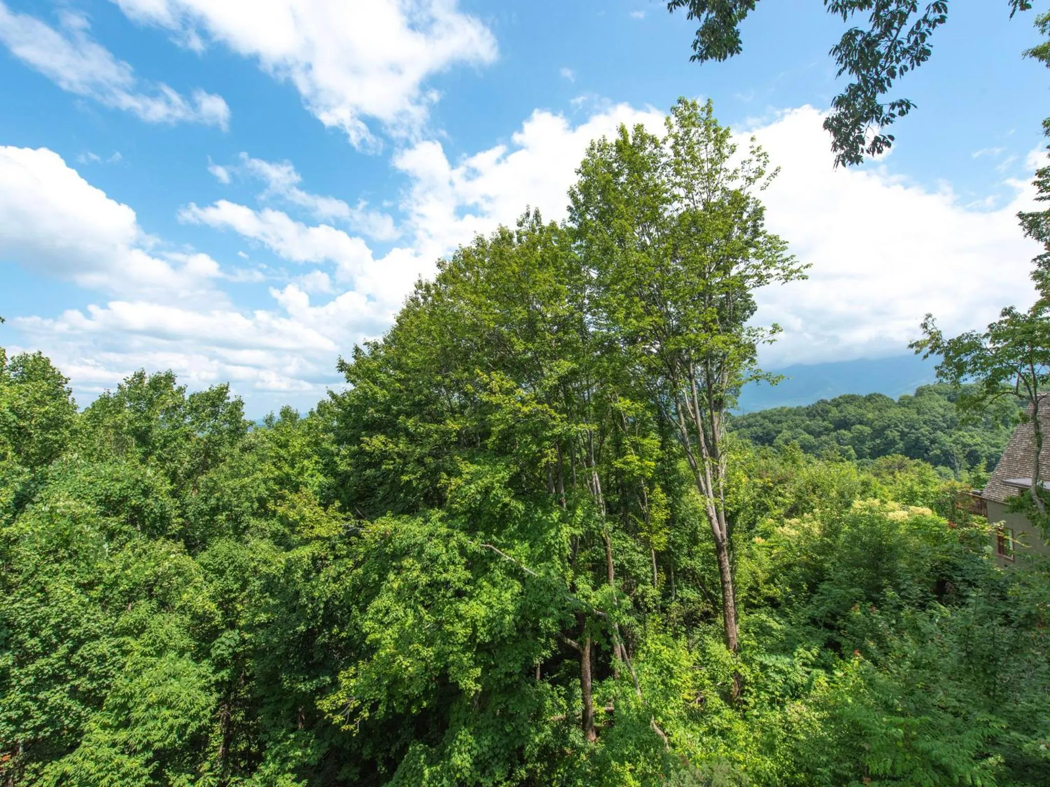 Property building in Birdsong