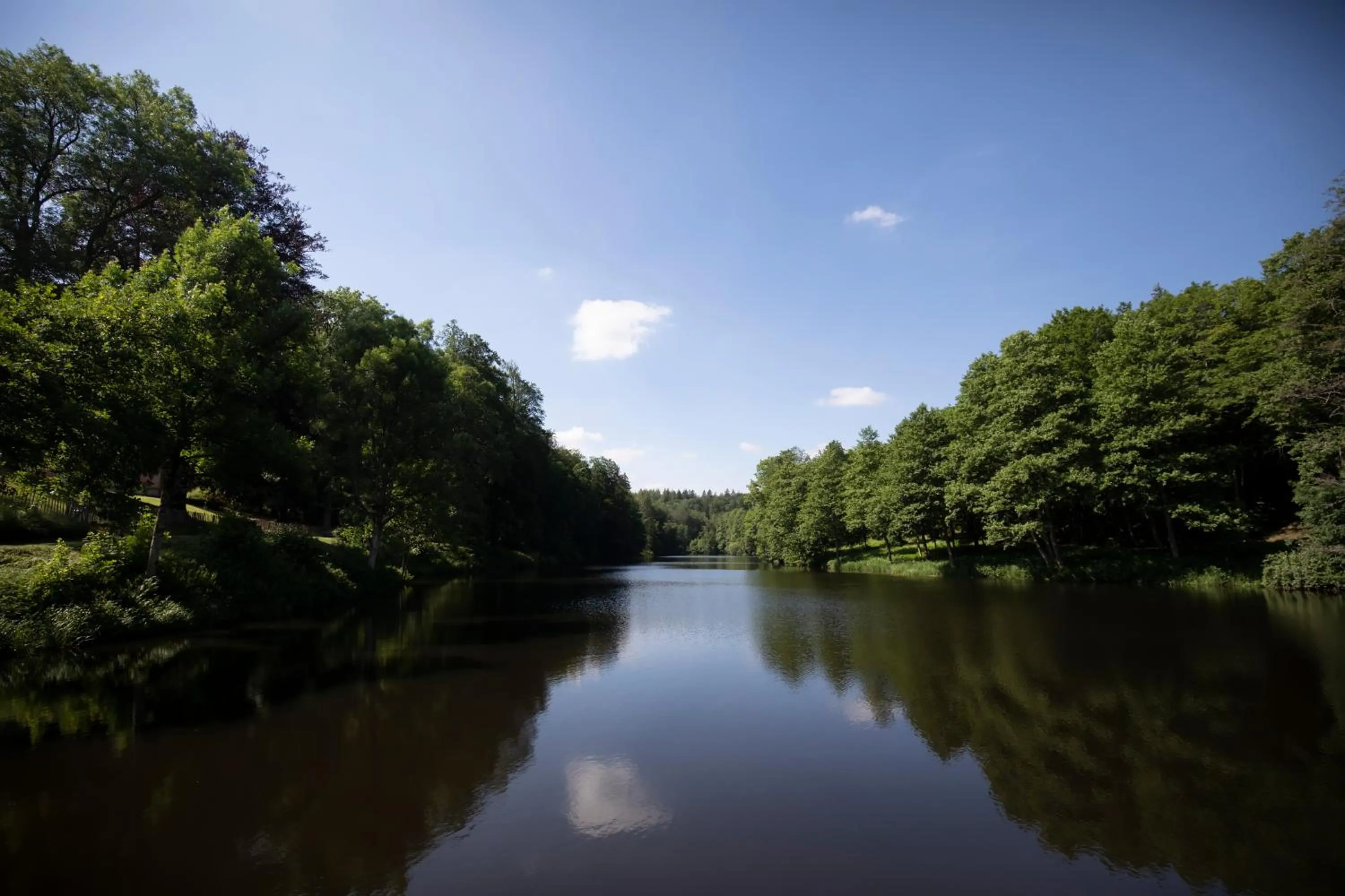 Garden in Château du Pont d'Oye