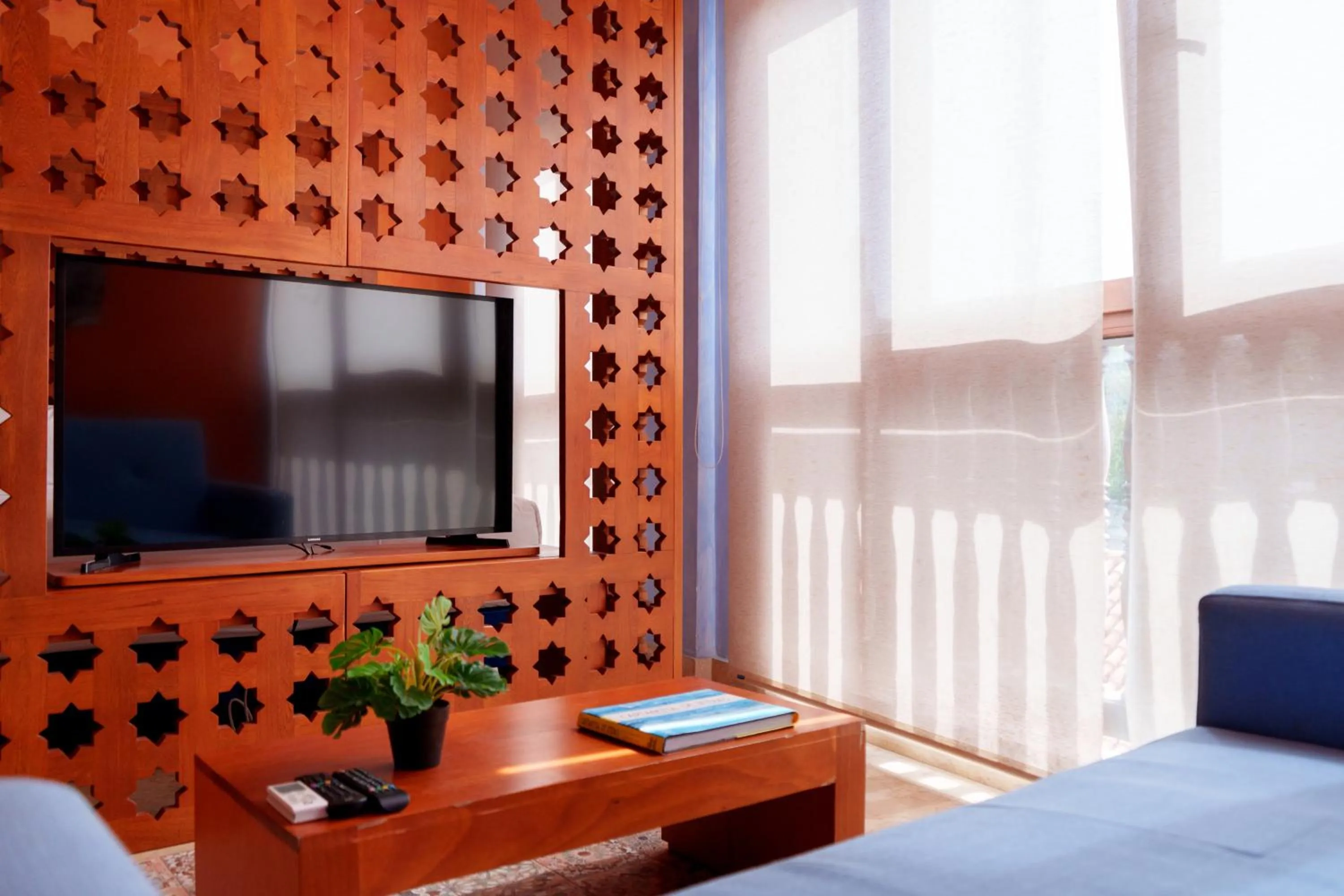 TV and multimedia in Ganem Suites Cartagena