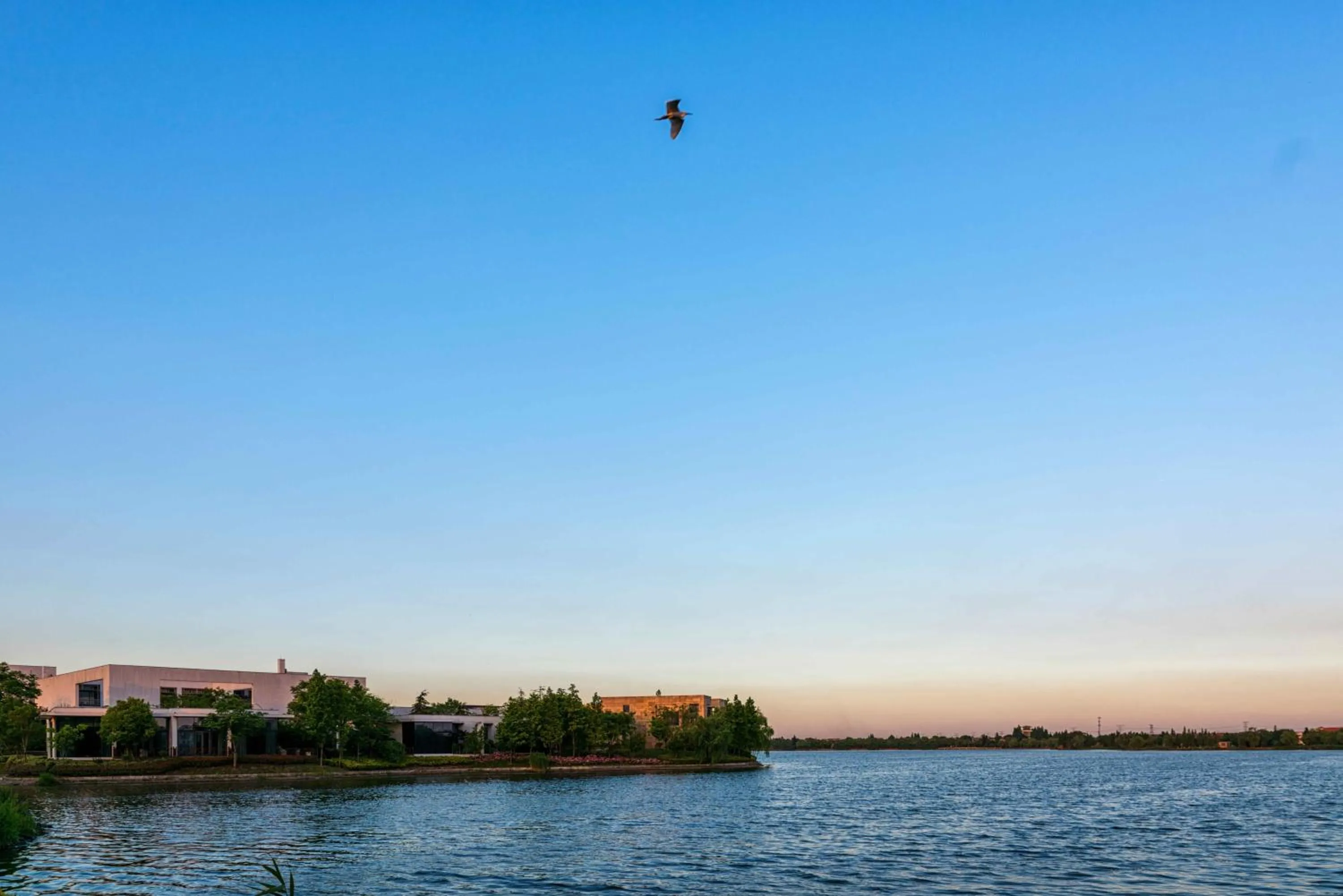 Lake view in CITIC Pacific Zhujiajiao Jin Jiang Hotel