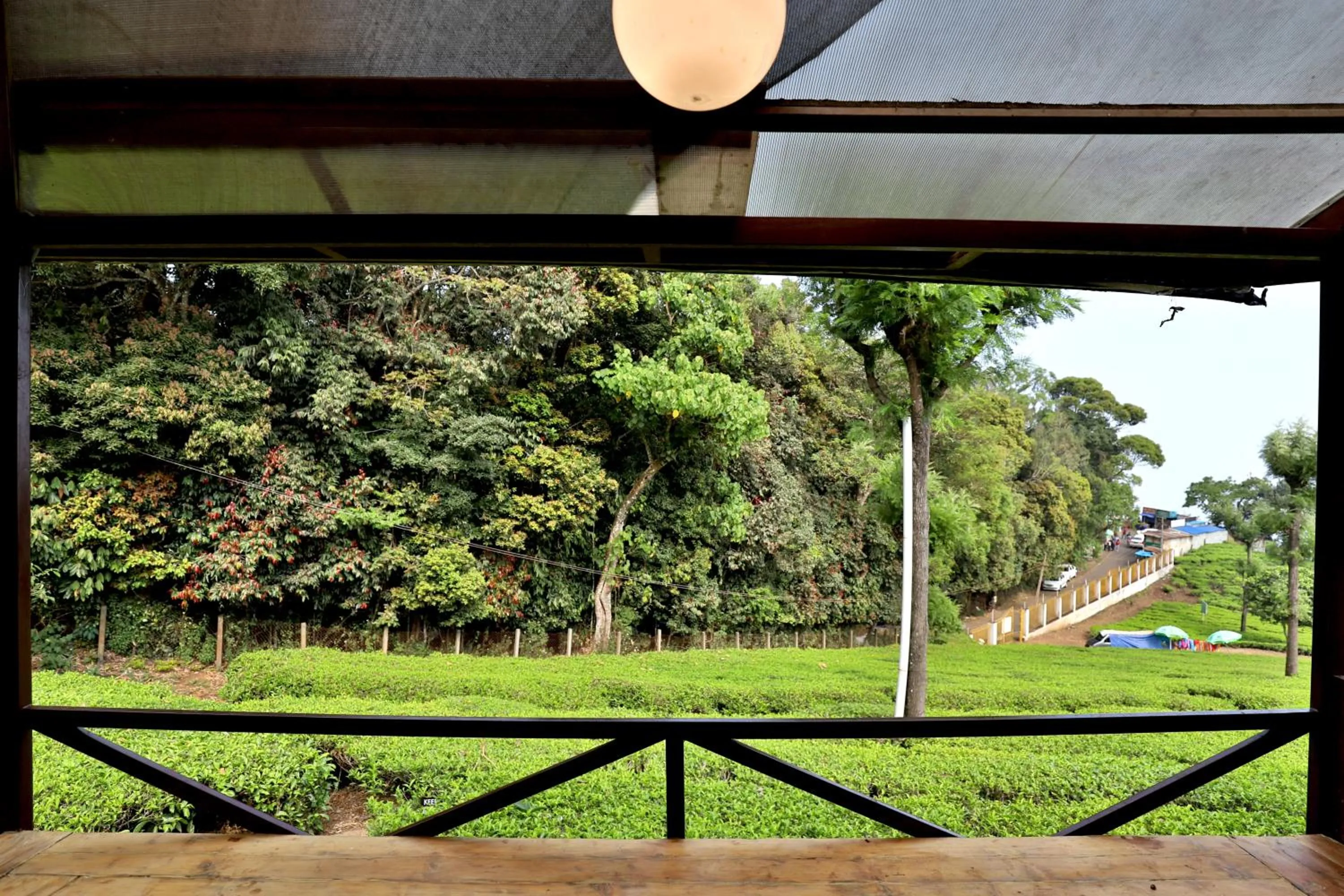 Day in De Rock Jungle Living Resort