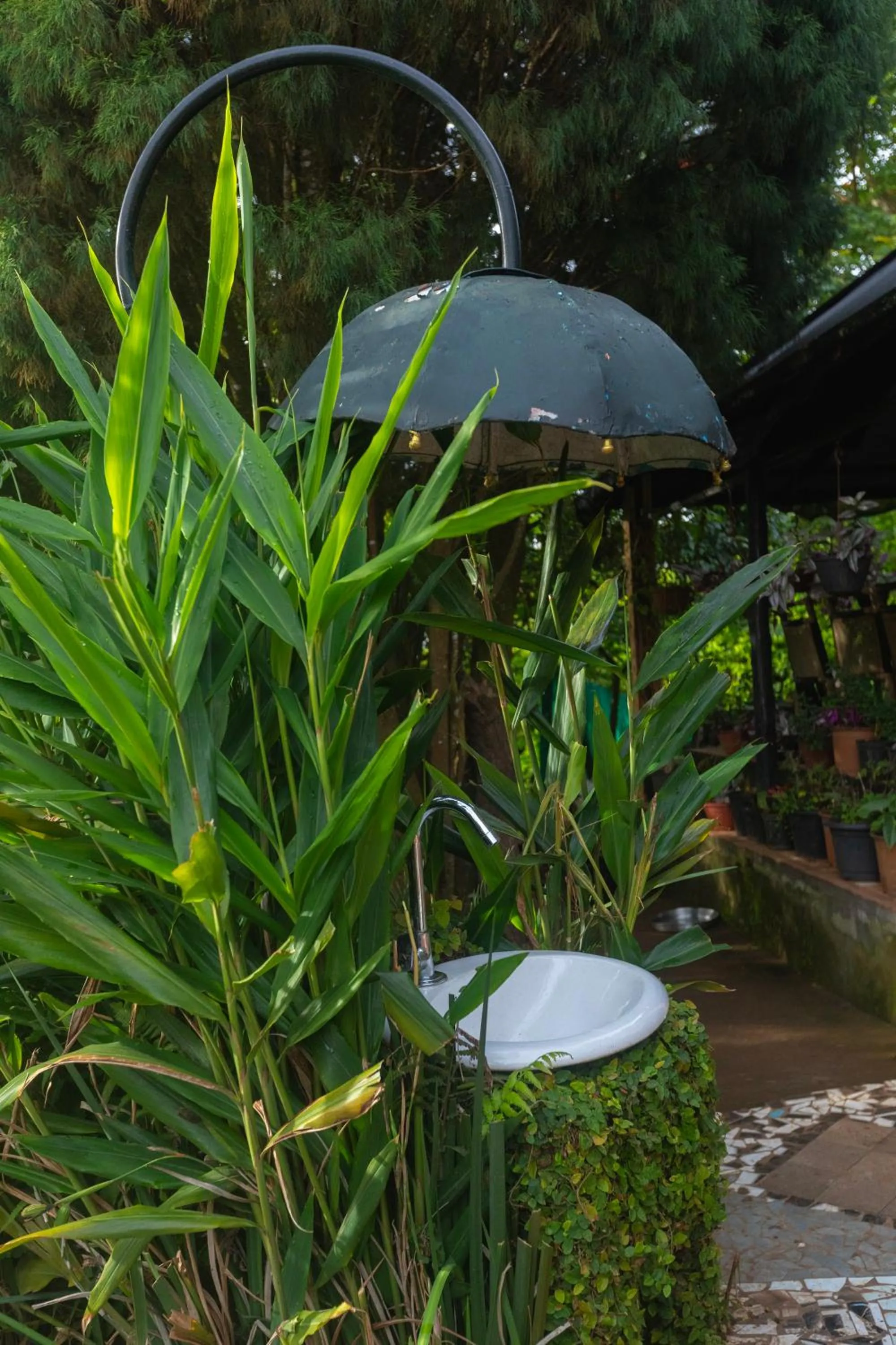 Garden in De Rock Jungle Living Resort
