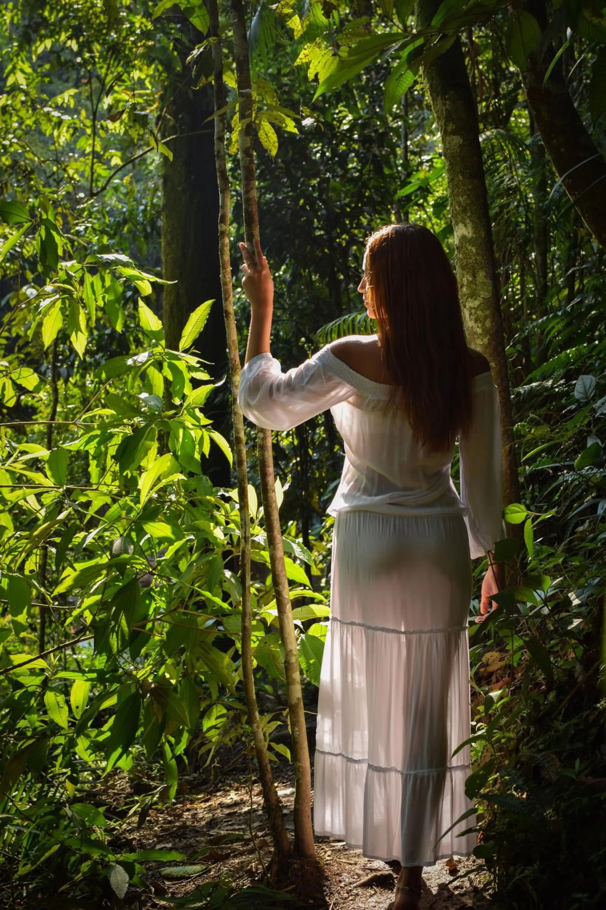 Hiking in BOSQUE EL DESCANSO