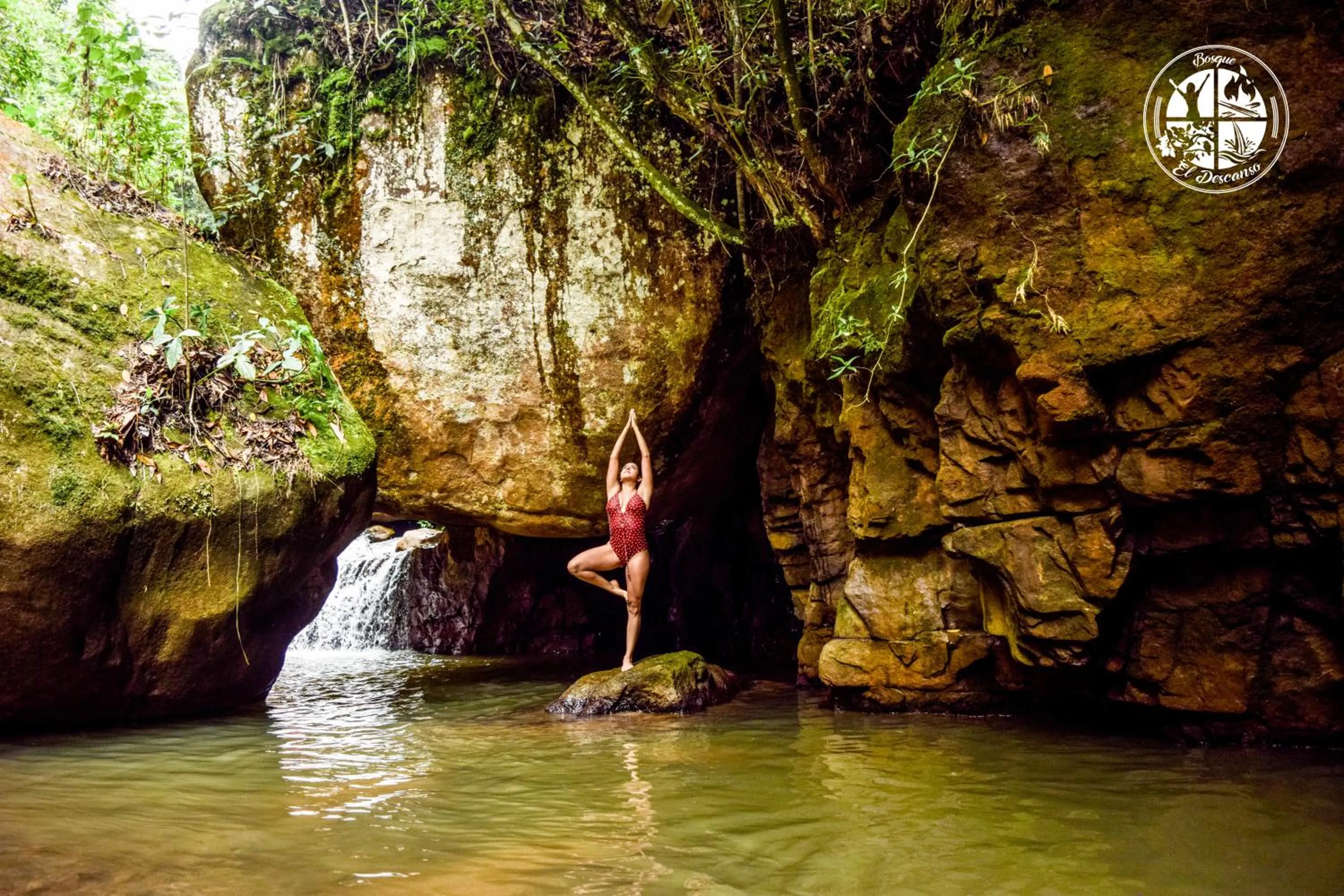 Natural landscape in BOSQUE EL DESCANSO