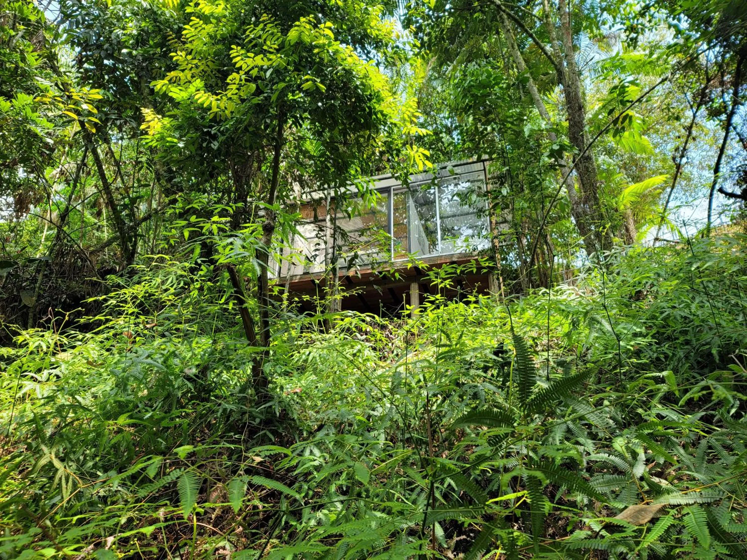 Natural landscape in BOSQUE EL DESCANSO