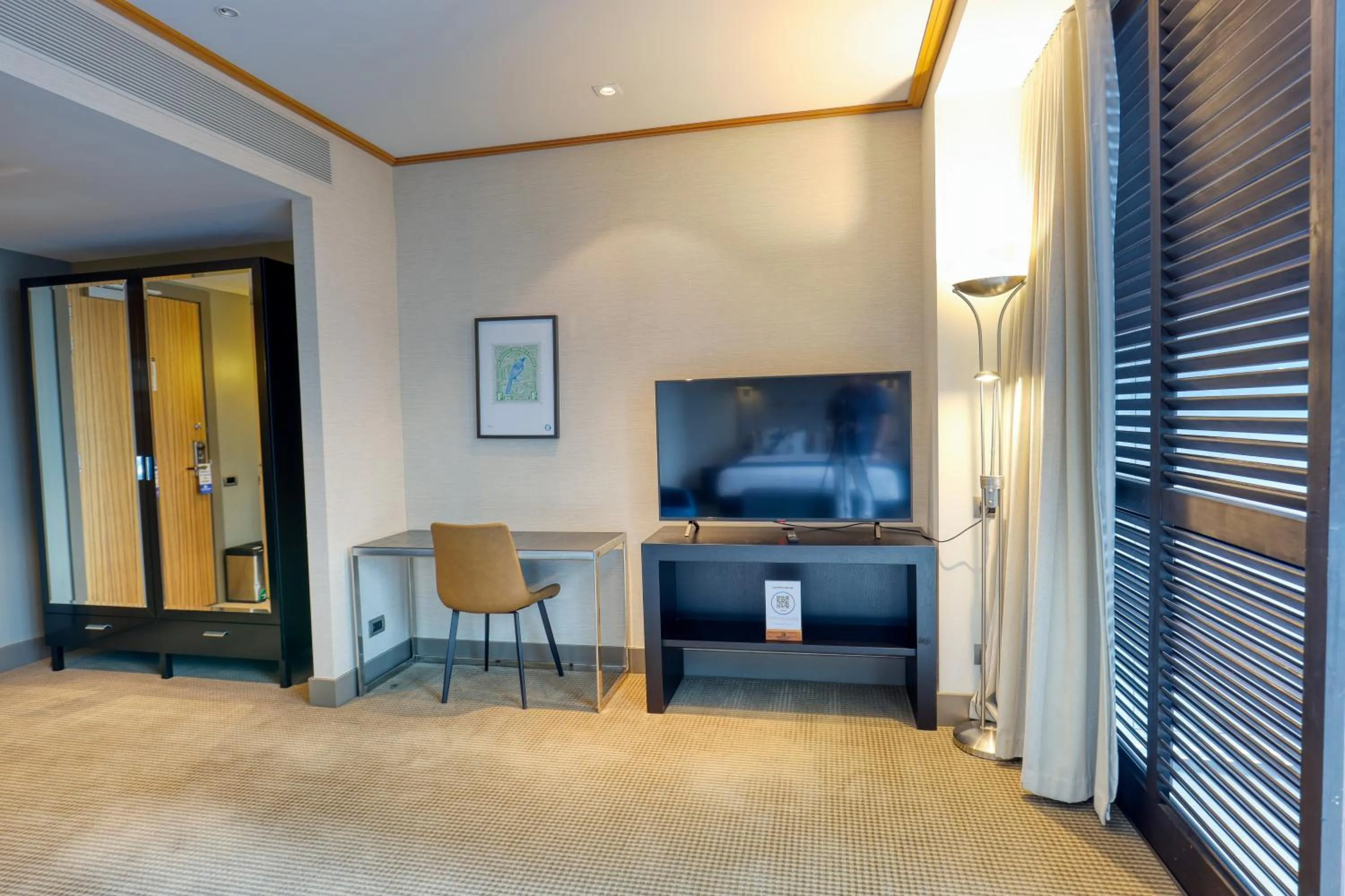 TV and multimedia in Marsden Viaduct