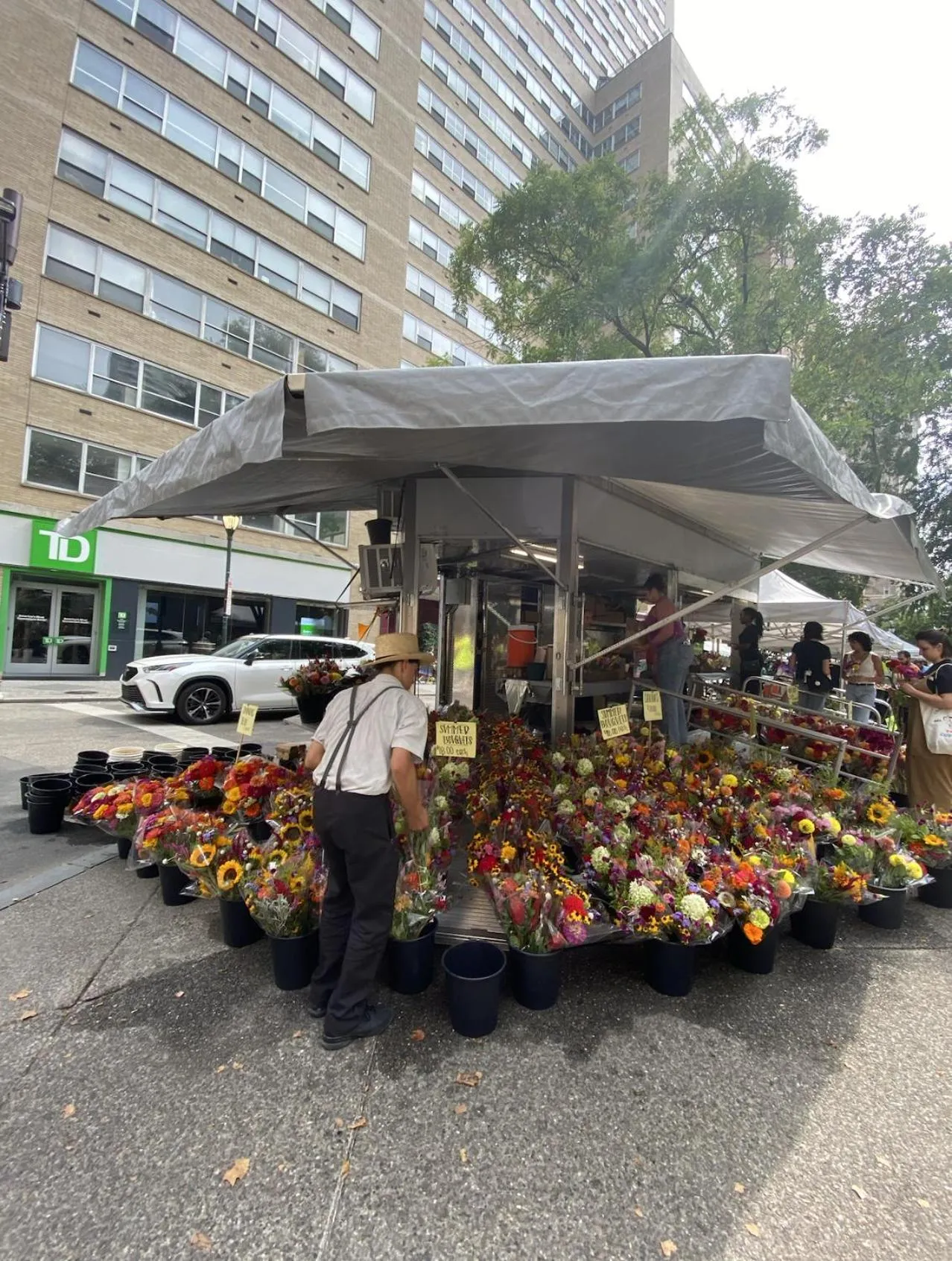 Other in Legacy - Spring Garden University City