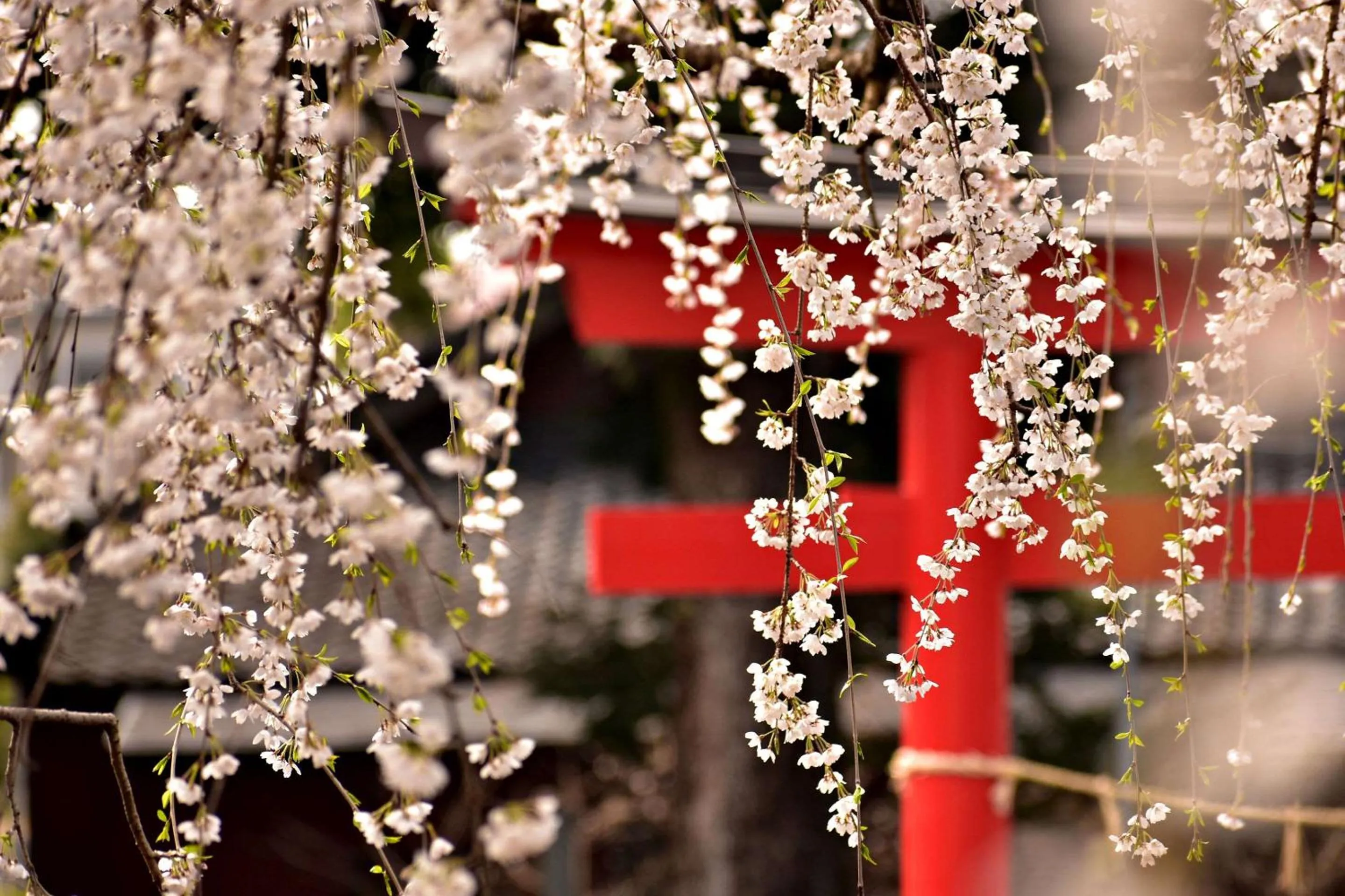 Other in Comfort Inn Kyoto Shijokarasuma