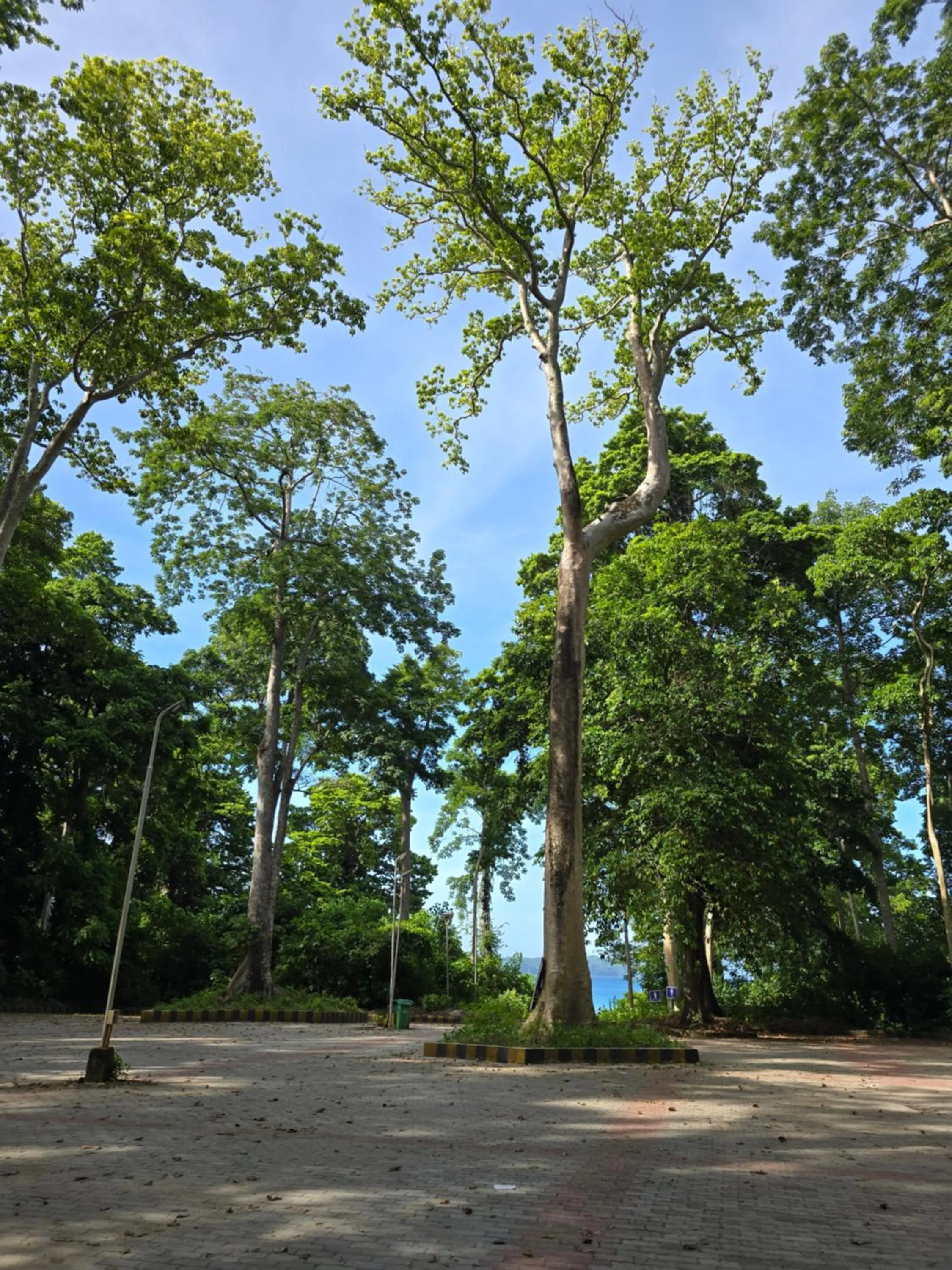 Pearl Park Beach Resort Private Limited