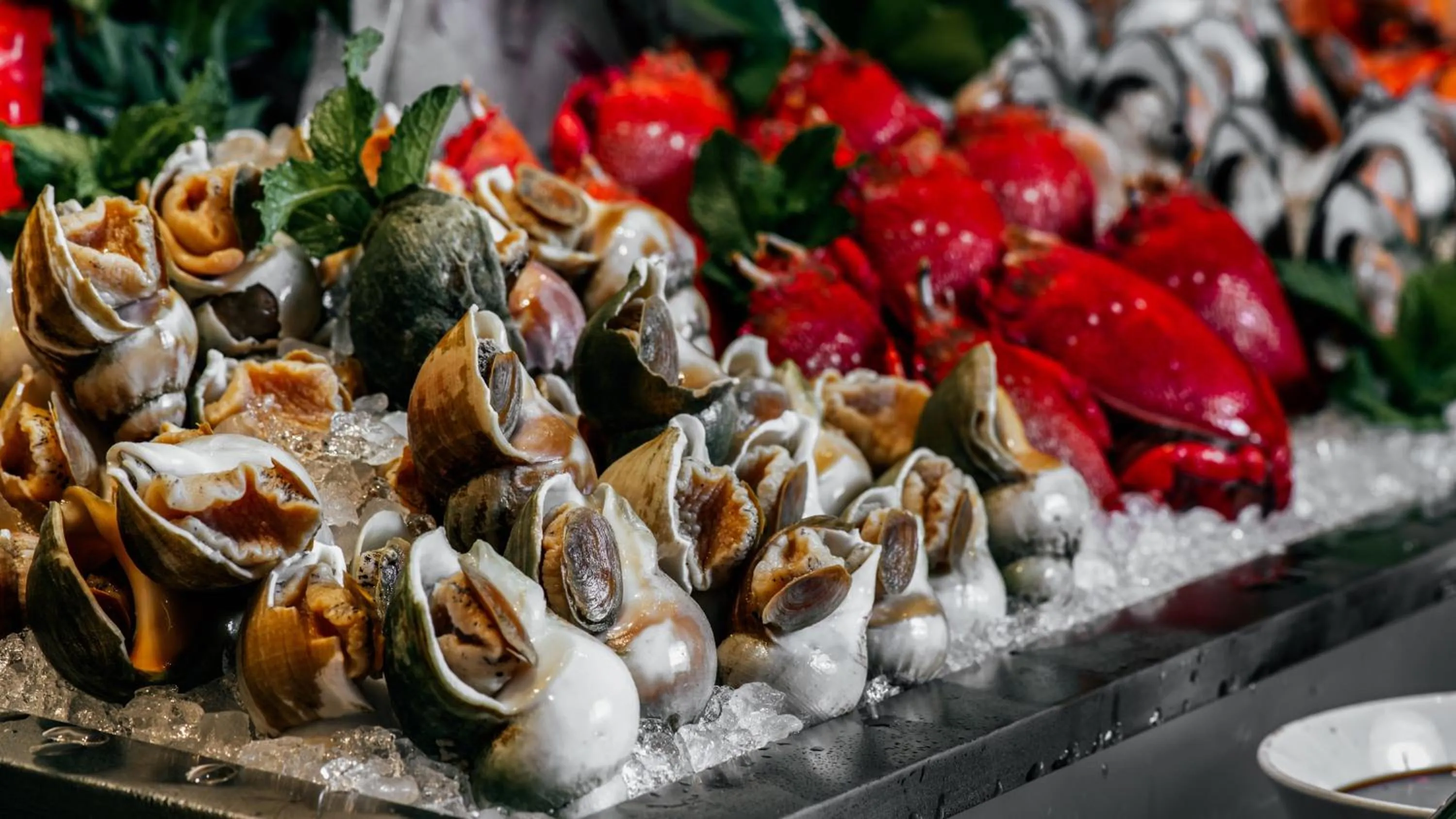 Restaurant/places to eat in Holiday Inn Tongren Wanshan by IHG