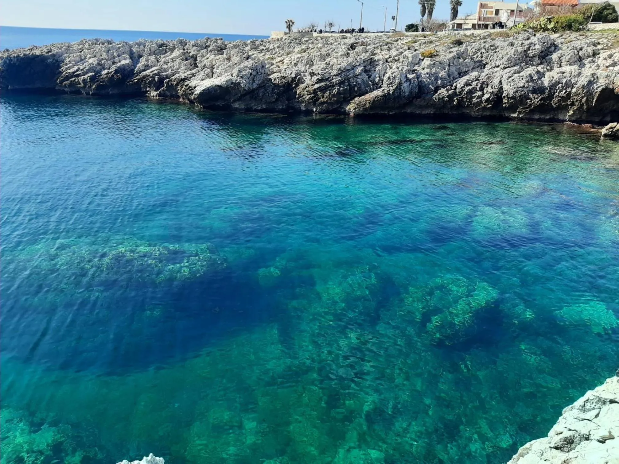 Natural landscape in Palazzo Donna Titì