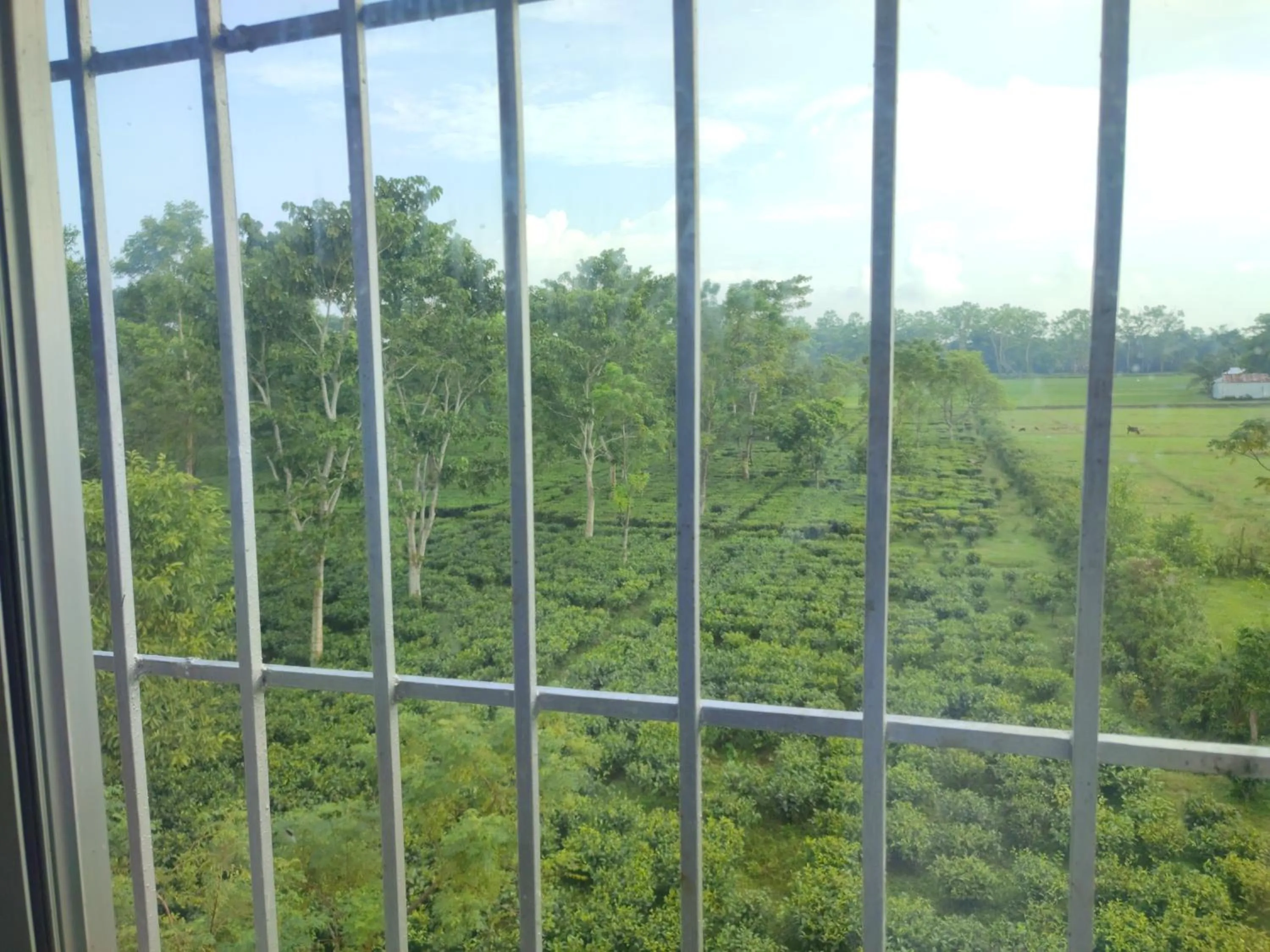 Day in Maa Greenary View - A Holiday Resort